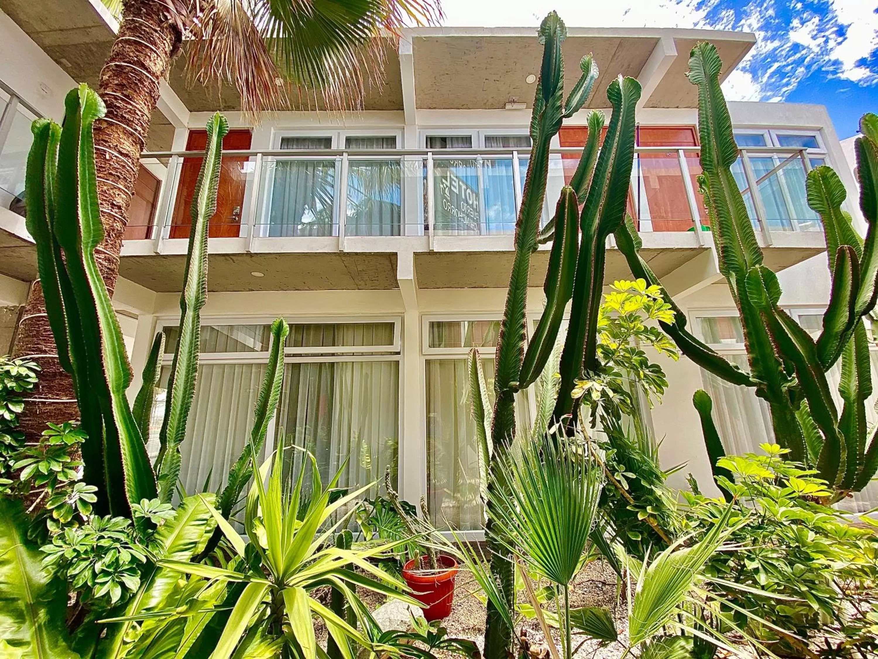 Spring in Hotel Puerto Chinchorro