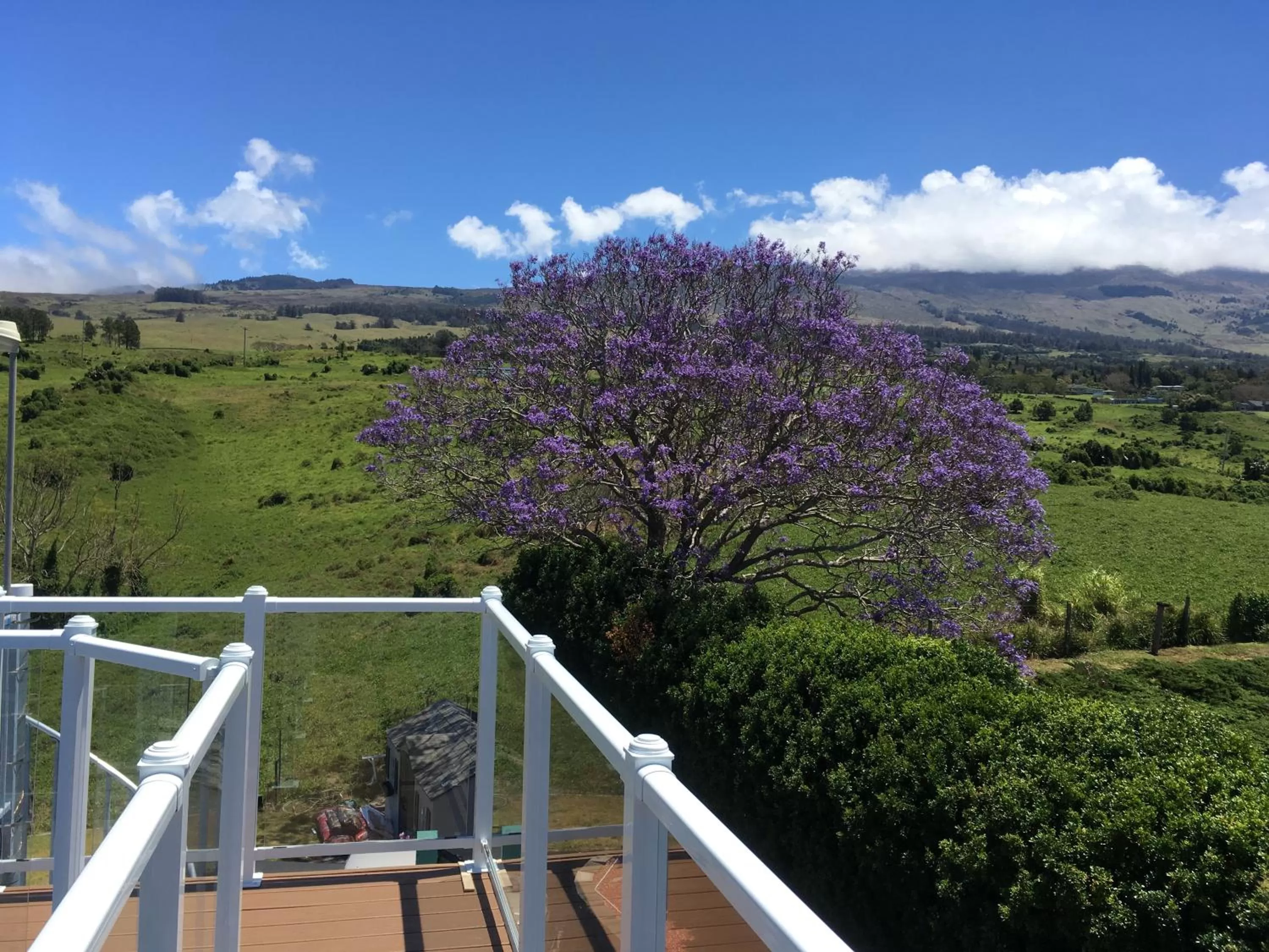 Balcony/Terrace in Ha'le Kiana
