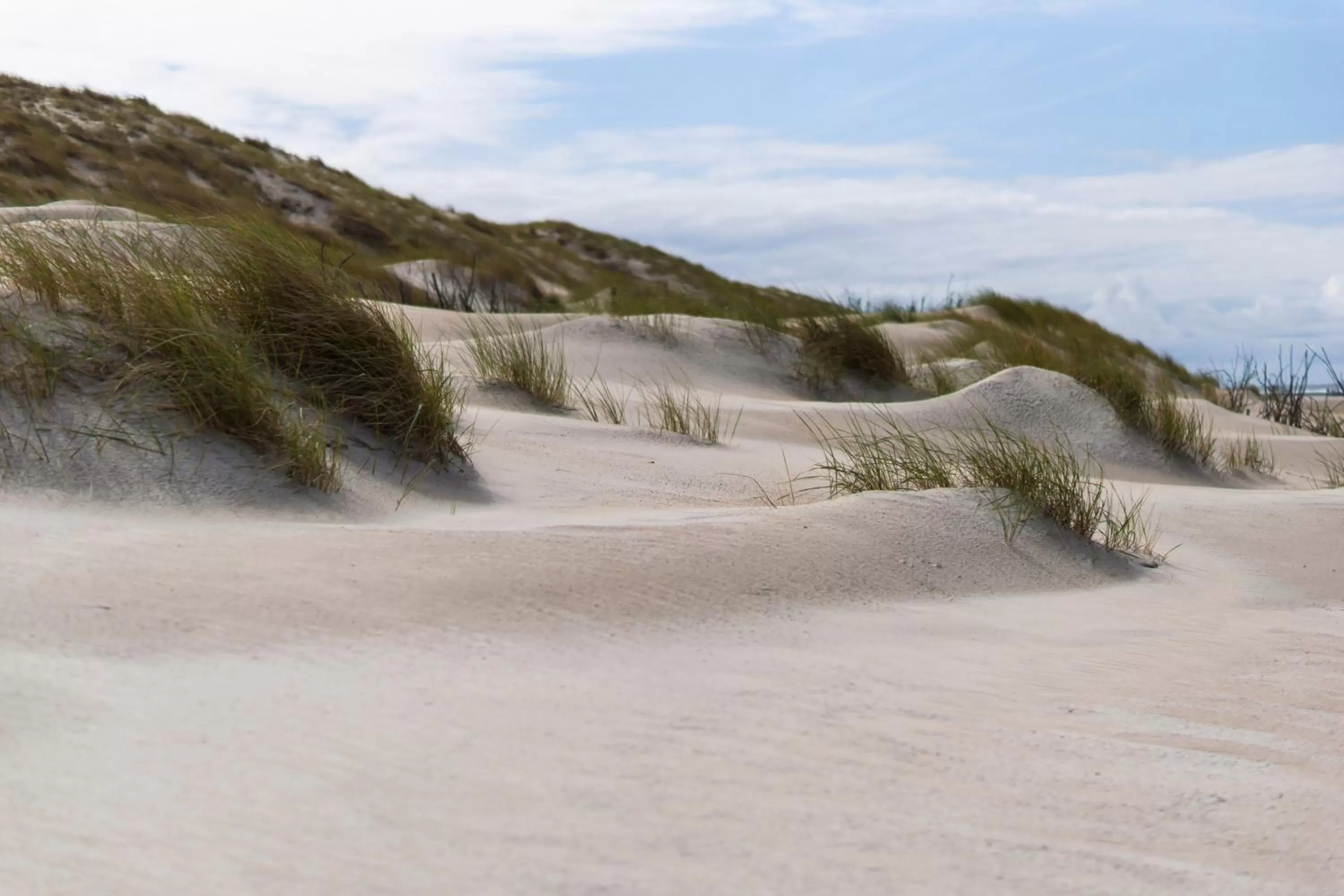 Natural landscape in Inselhotel Bruns