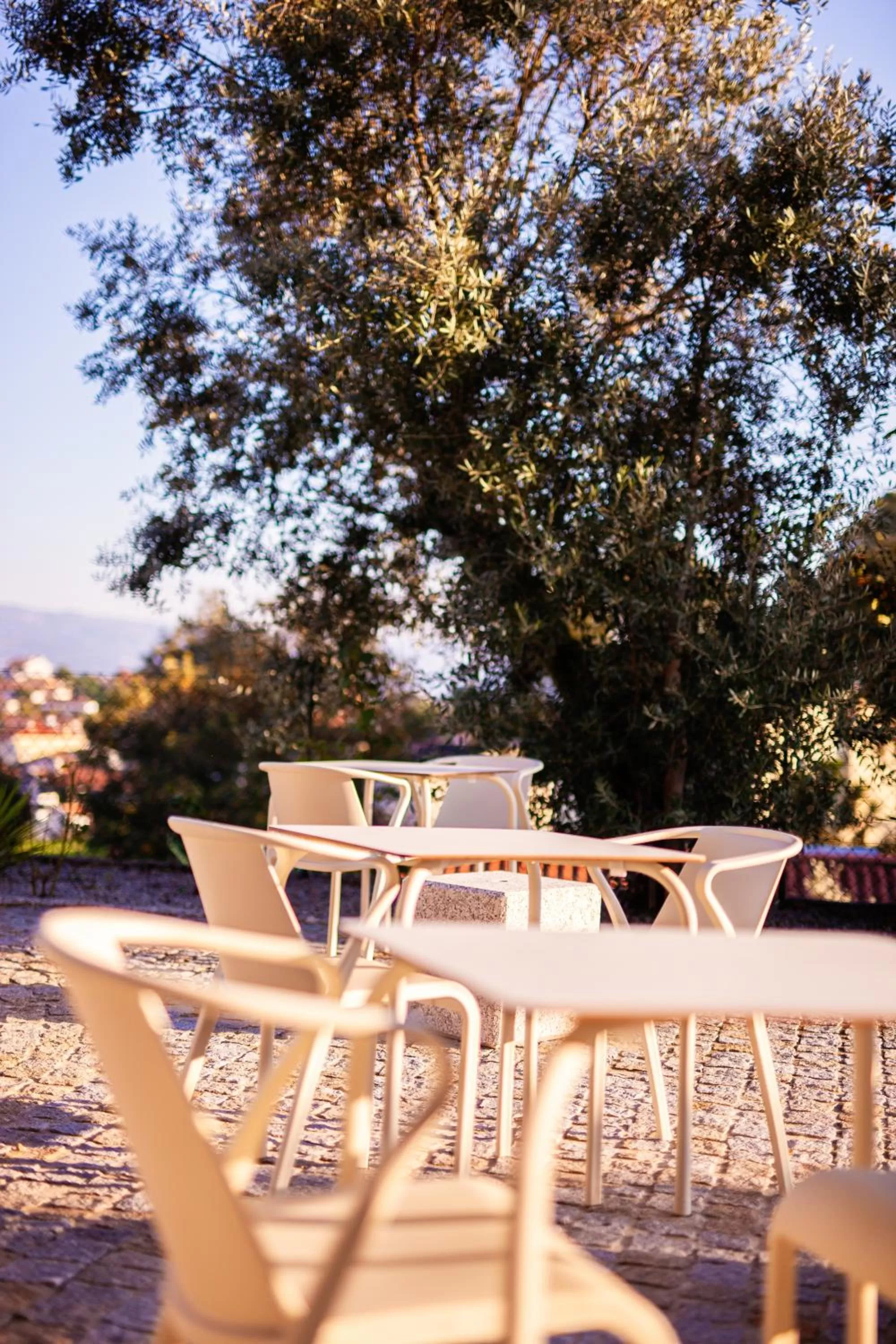 Restaurant/places to eat in Fonte Velha