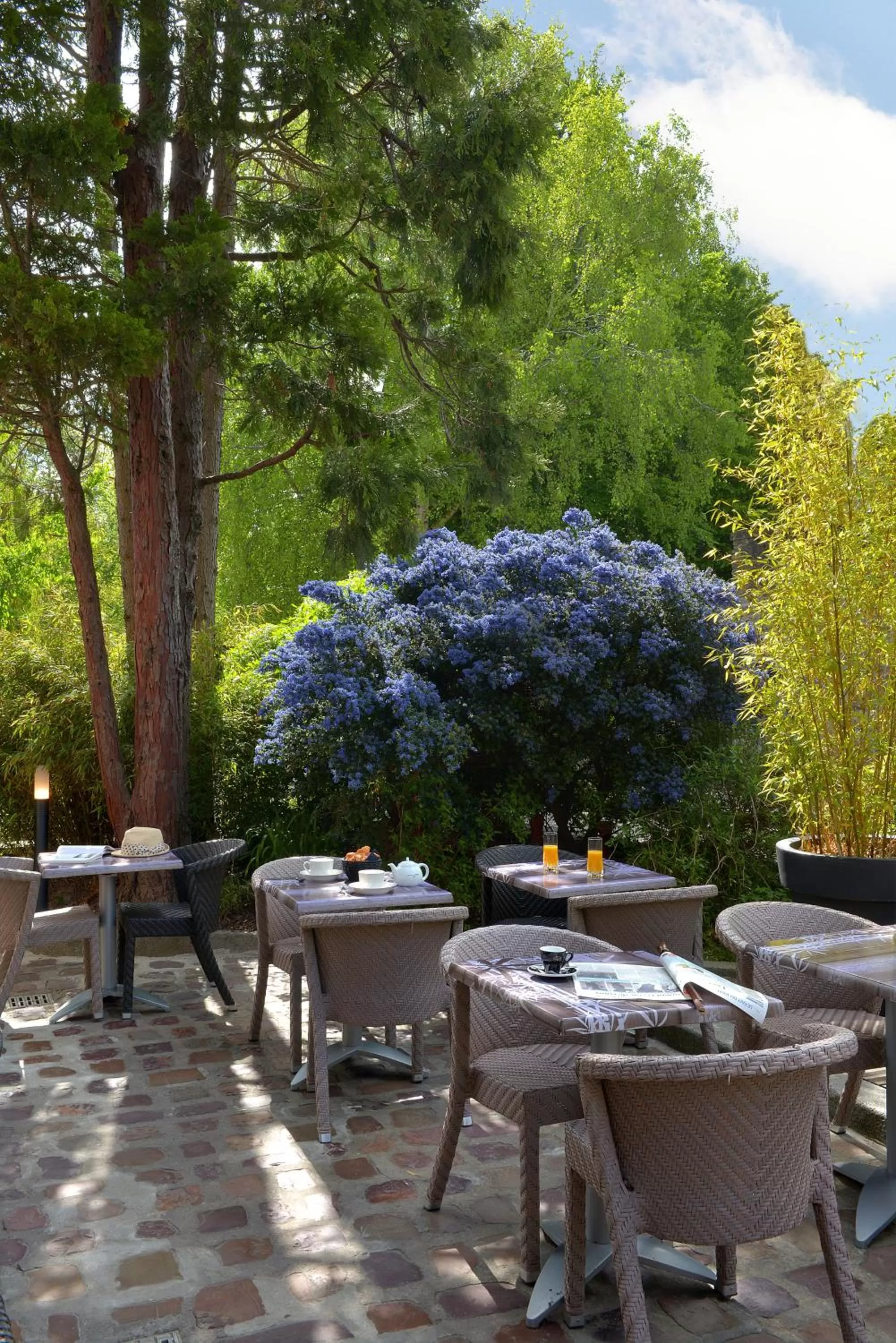 Mountain view in Hotel Reine Mathilde