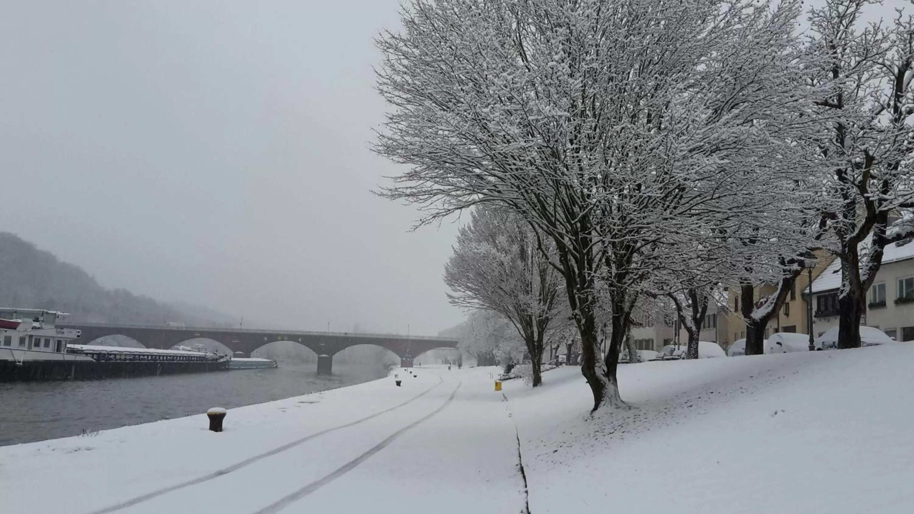 Natural landscape in Hotel Mainblick Garni