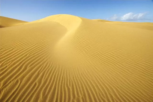 Beach in Birdcage Gay Men Resort and Lifestyle Hotel