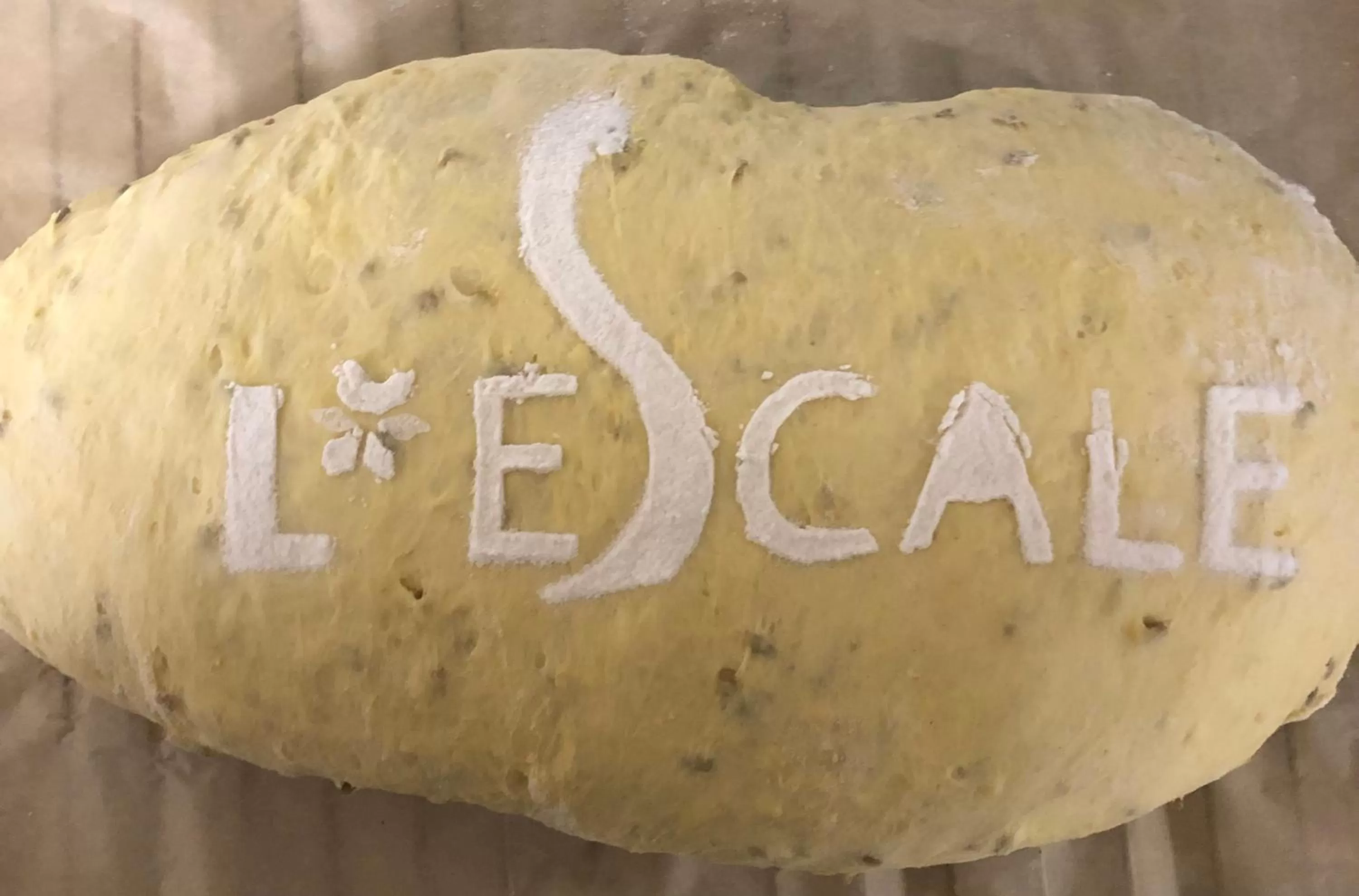 Food in L'Escale (accès en télécabine)