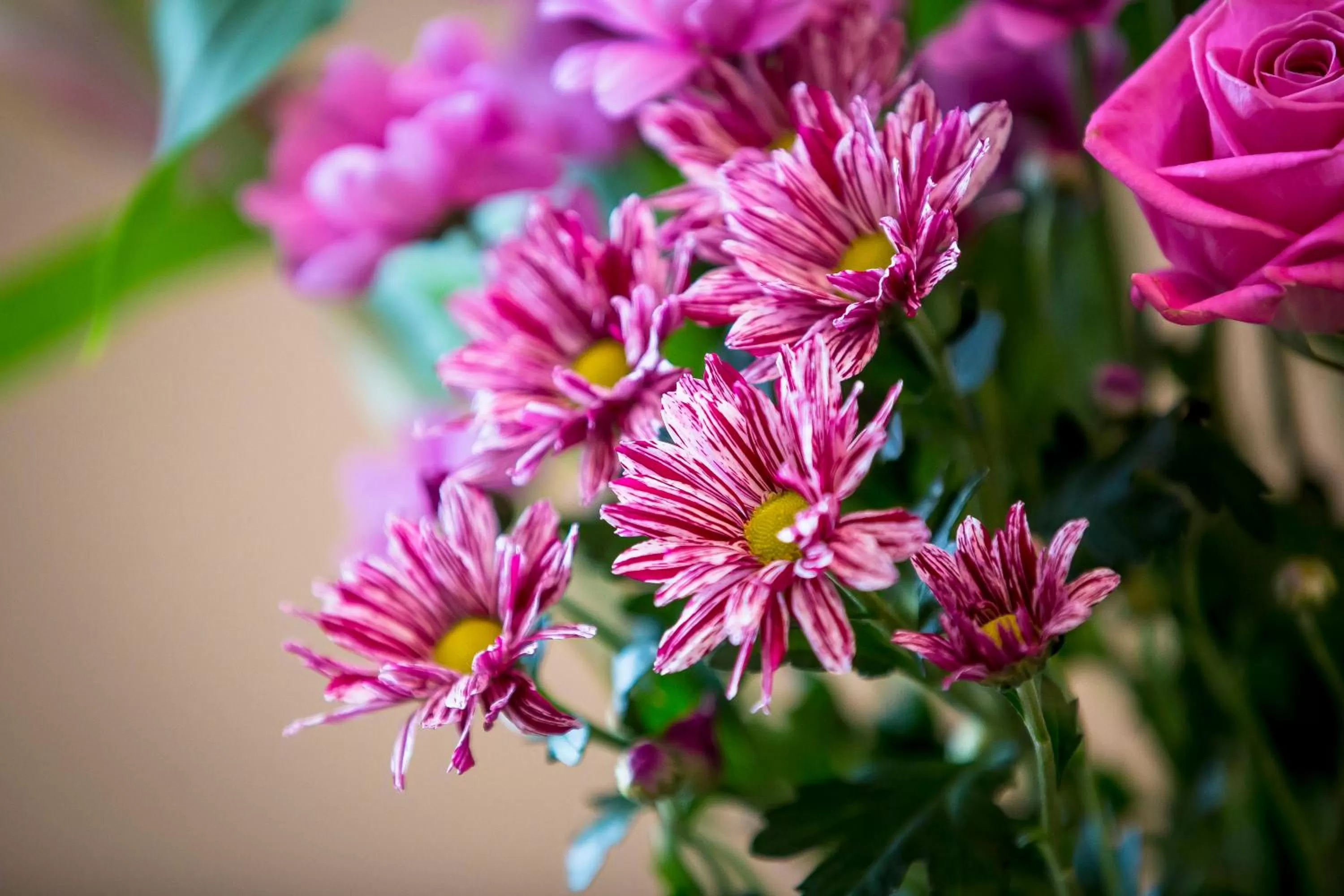 Other in The Black Boy Inn