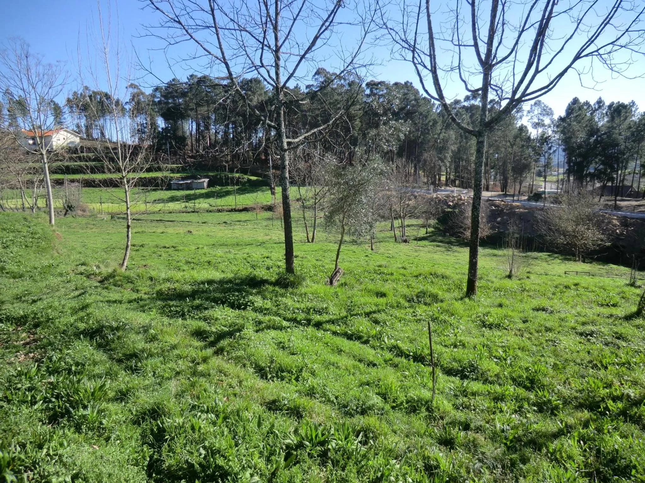 Natural landscape in VianasHome