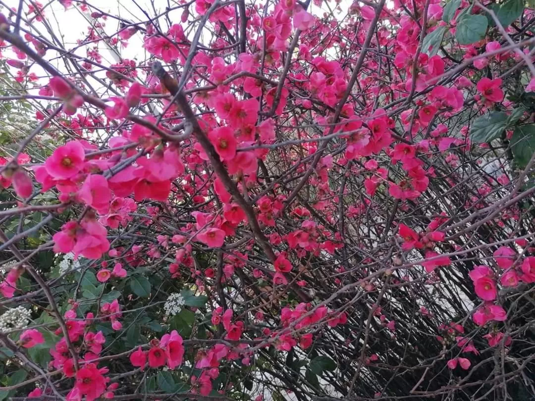 Property building in L'Isola Felice e Trulli Sotto Le Stelle
