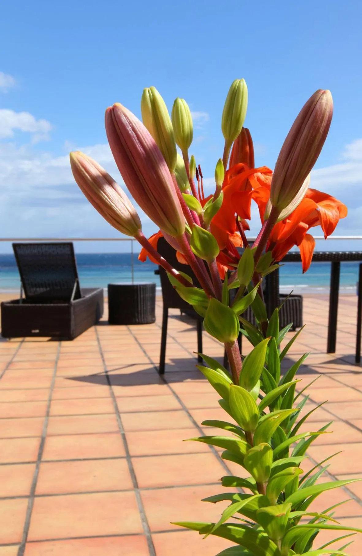 Other in Hotel Metrokua