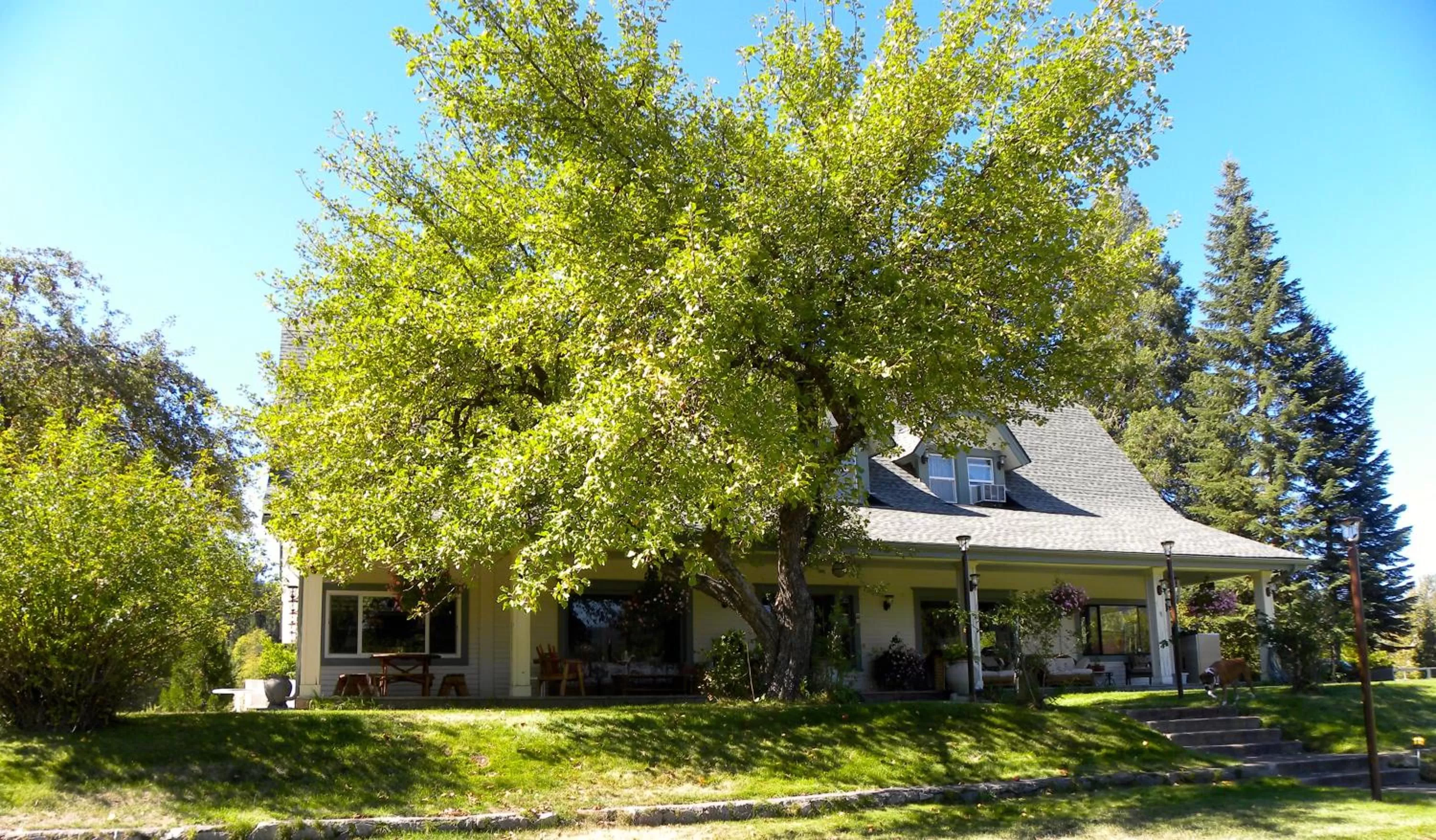Facade/entrance in Mount Shasta Ranch Bed and Breakfast