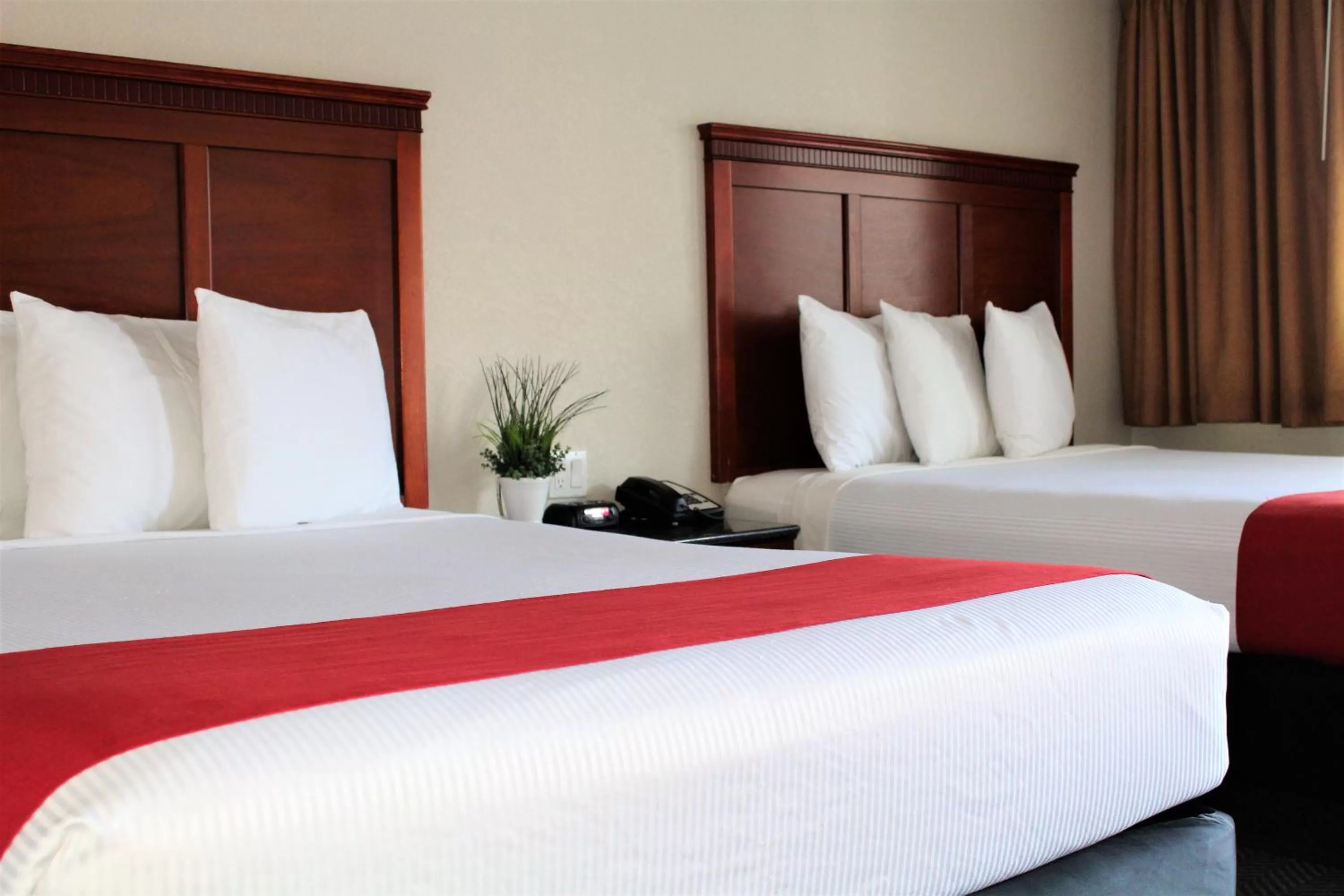 Bedroom, Bed in Rodeway Inn South San Francisco Airport