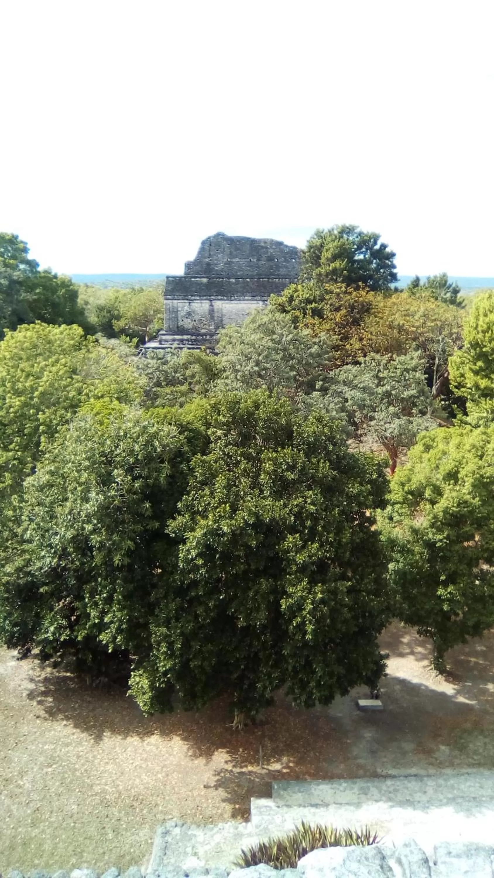 Activities in Hotel Chaac Calakmul