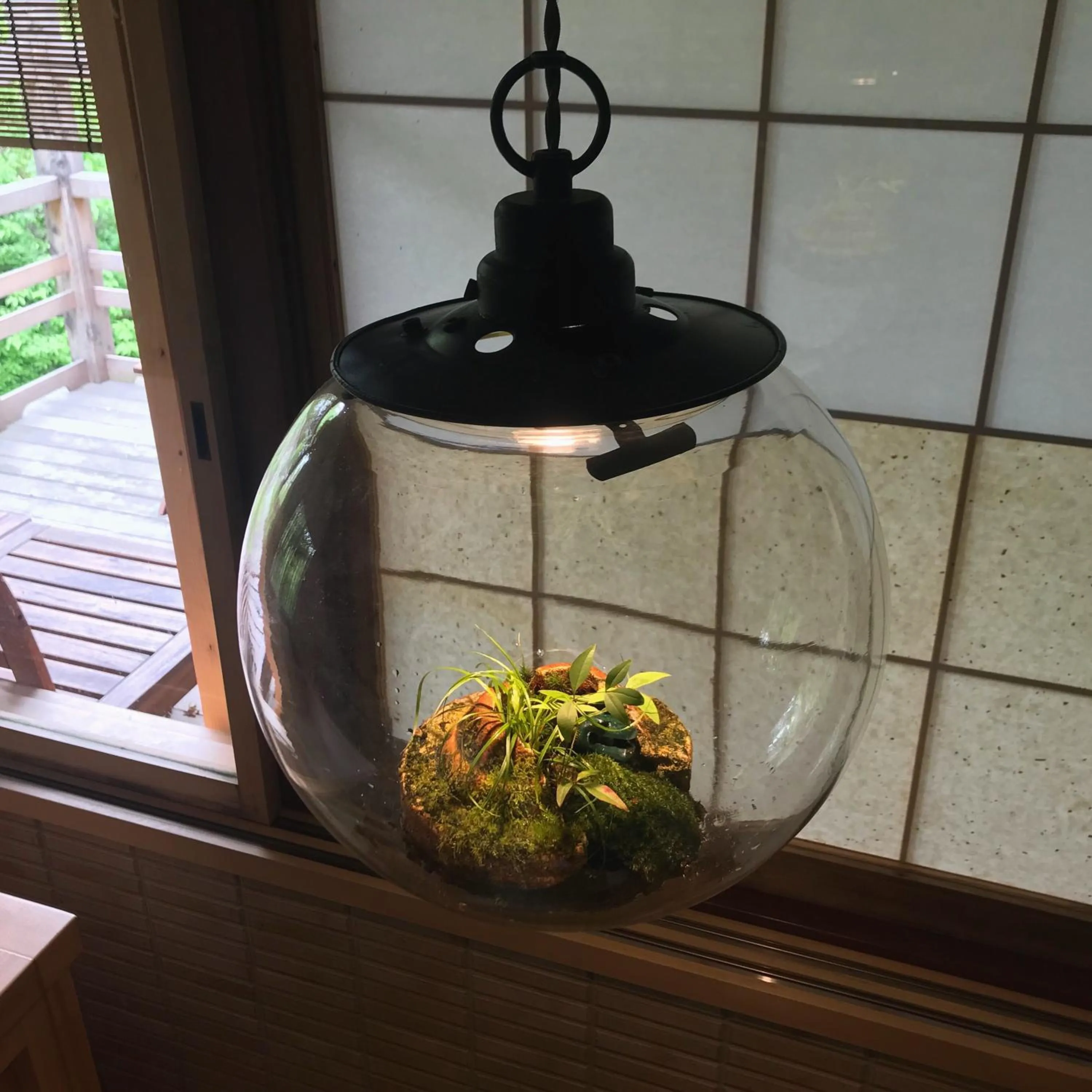 Balcony/Terrace in Kyoto Nanzenji Ryokan Yachiyo Established in 1915