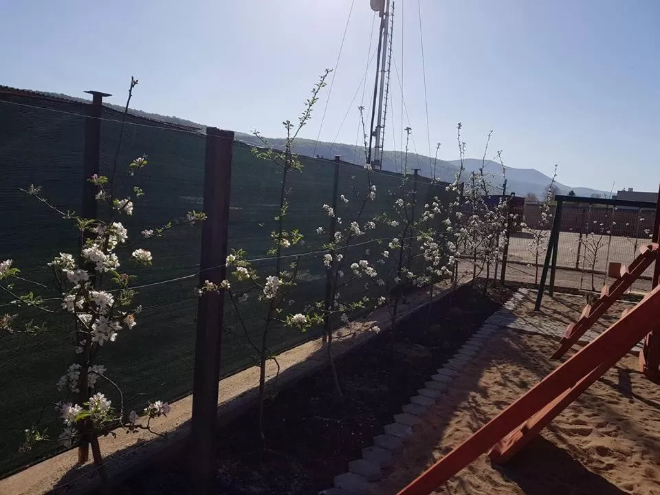 Balcony/Terrace in Motel Medium