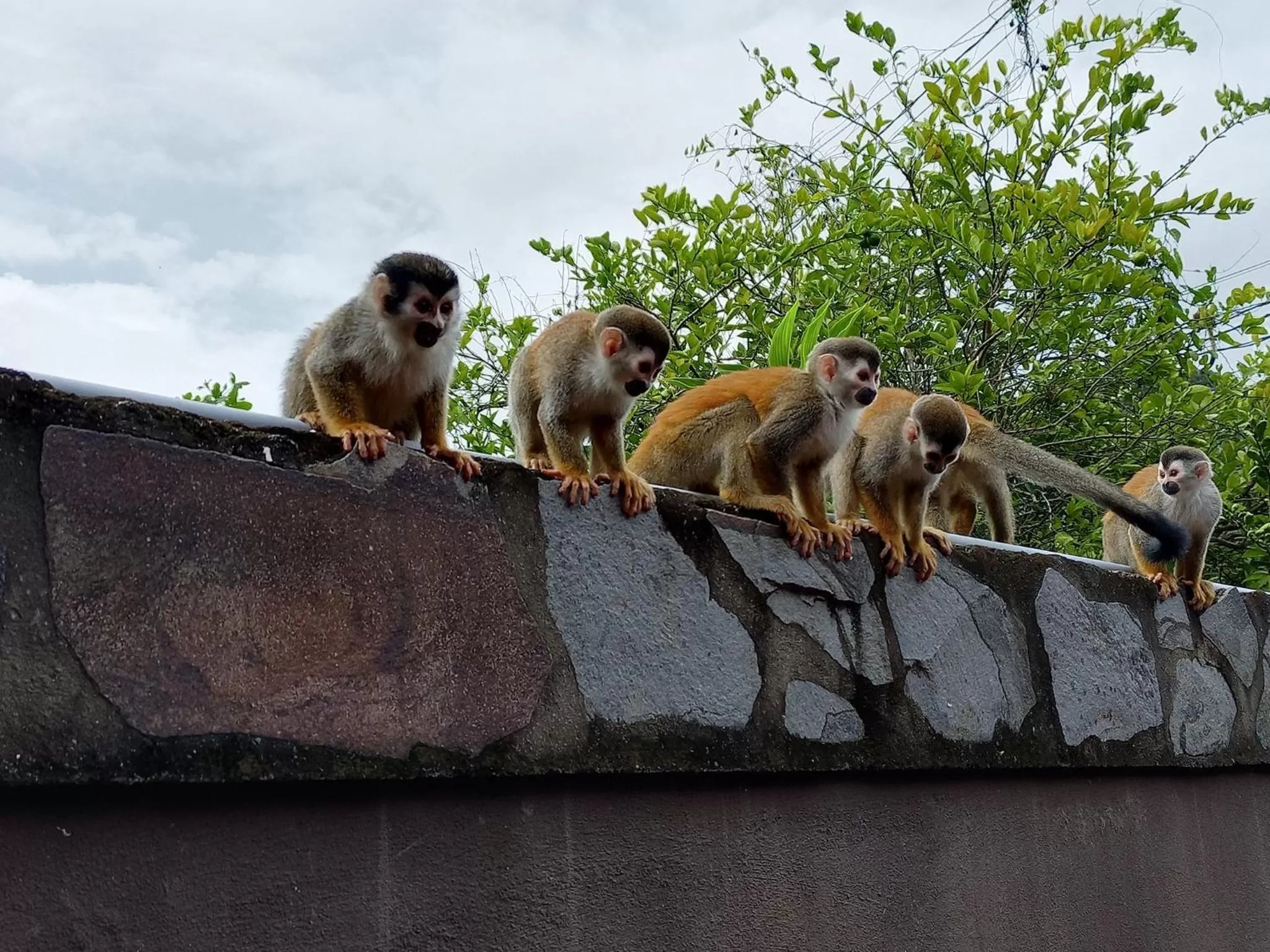 Property building in Sunrise House