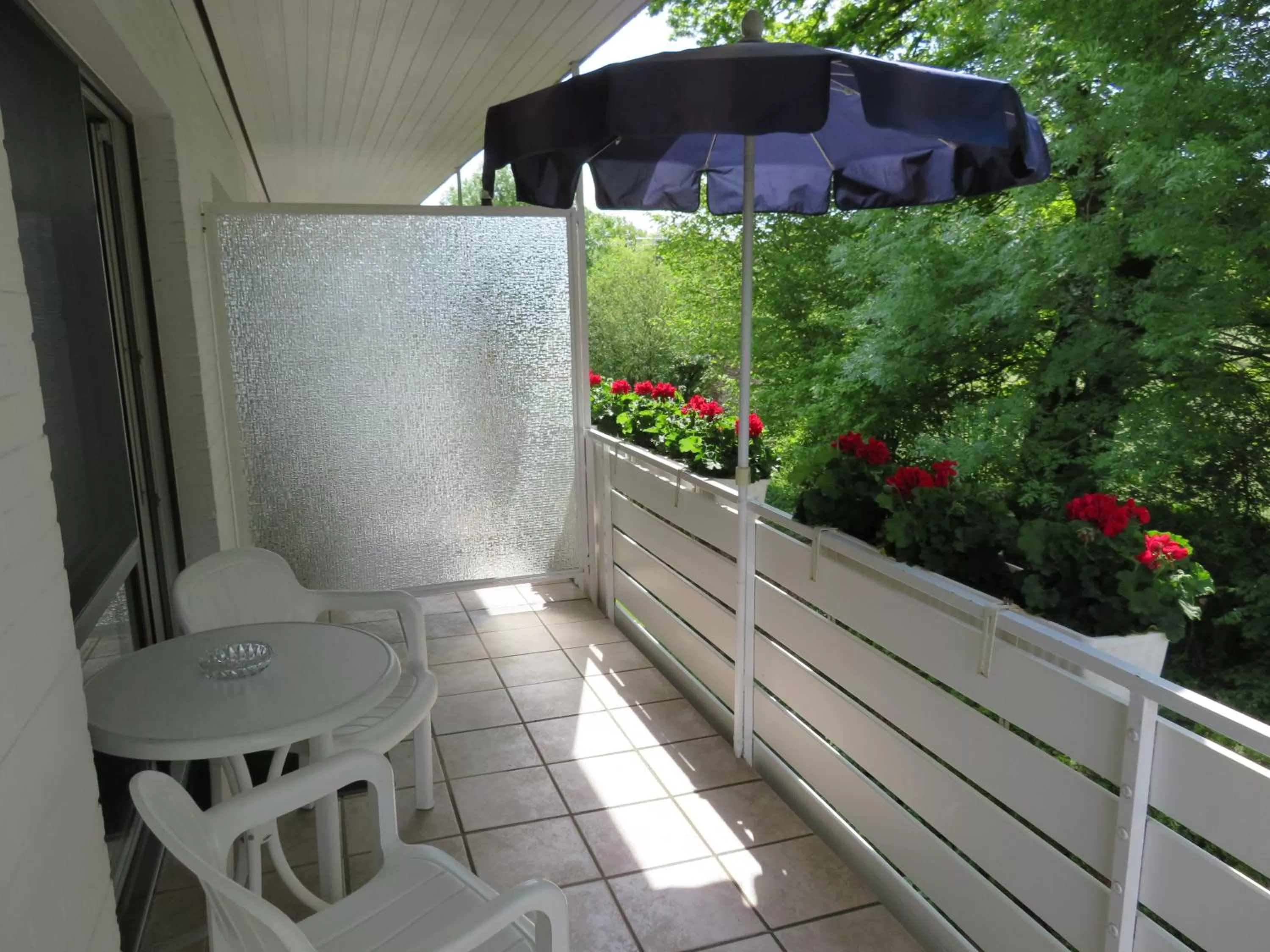 Balcony/Terrace in Hotel zum Rosenteich