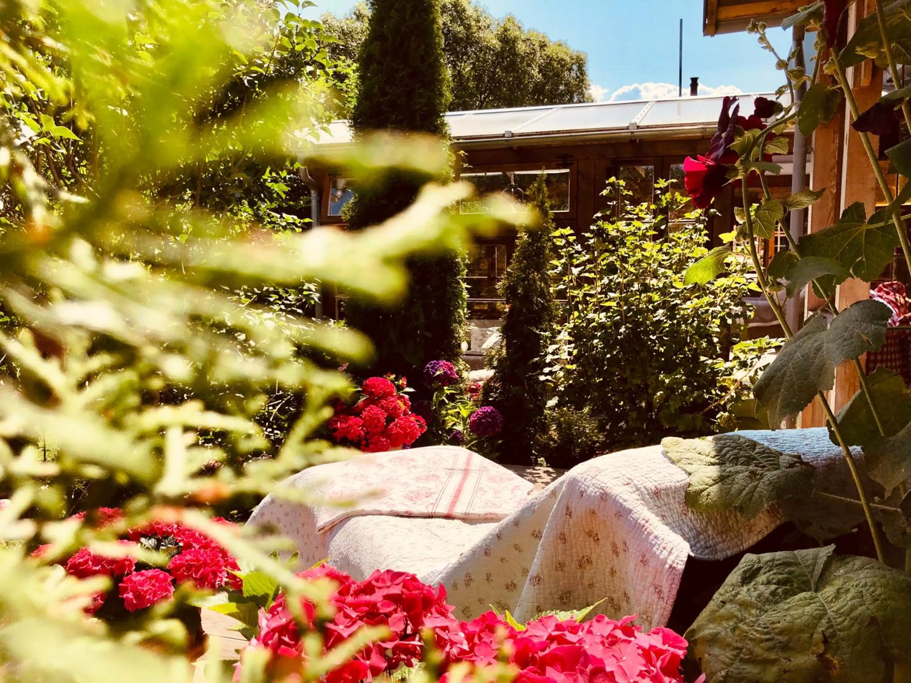 Balcony/Terrace in Weißt Du noch - Gästehäuser & Suiten