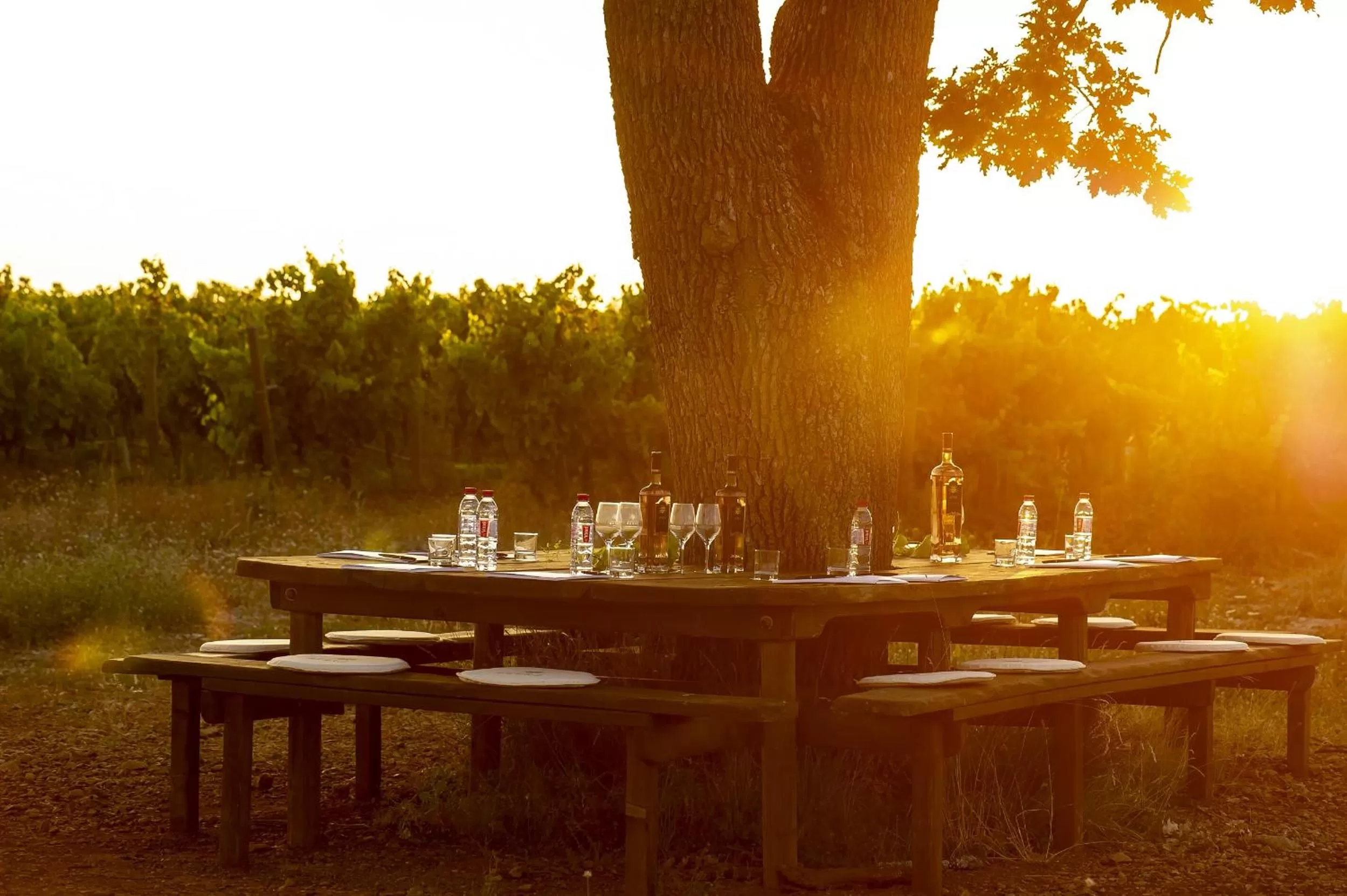 Activities in Château de Berne