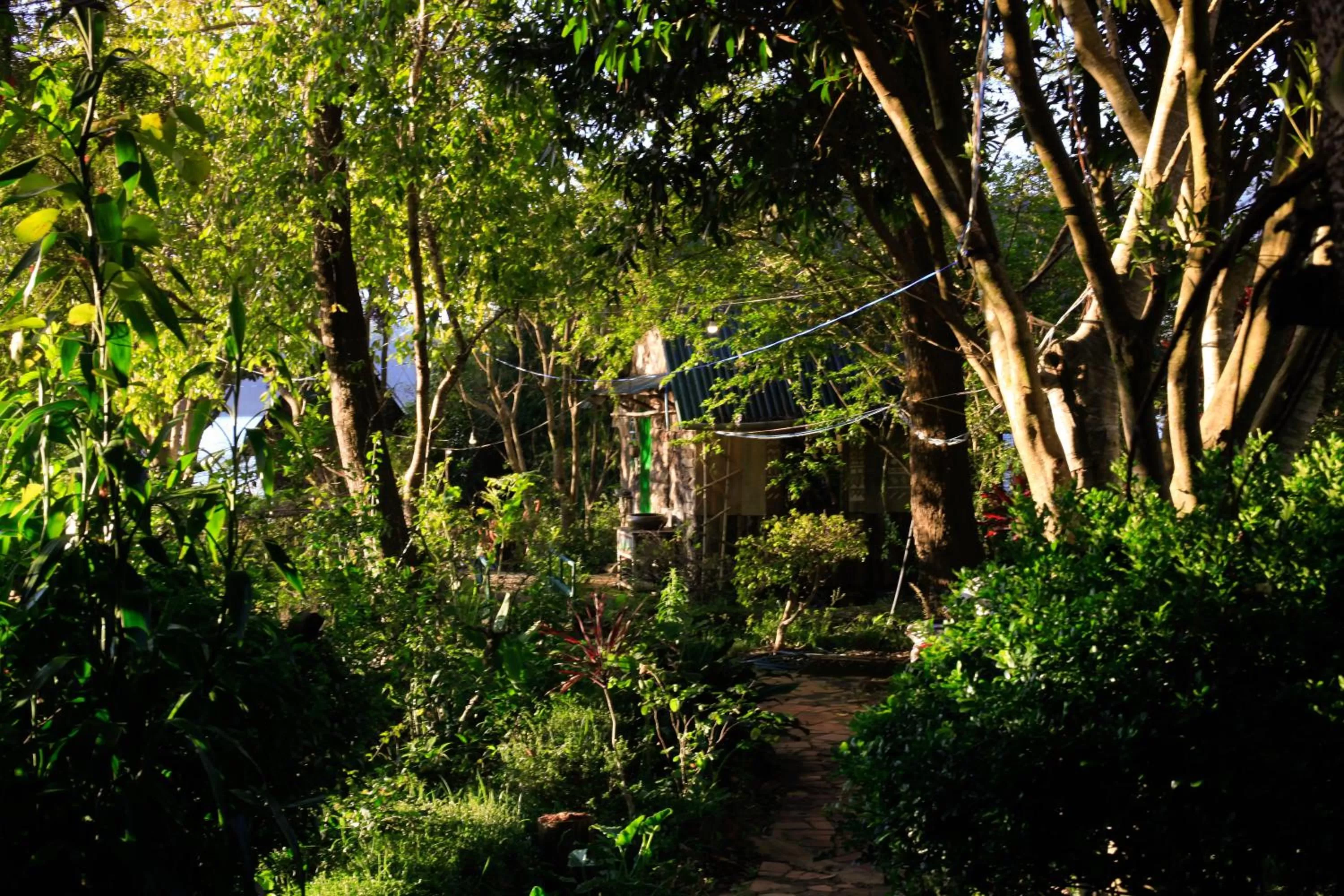 Garden in The Lake House Dalat