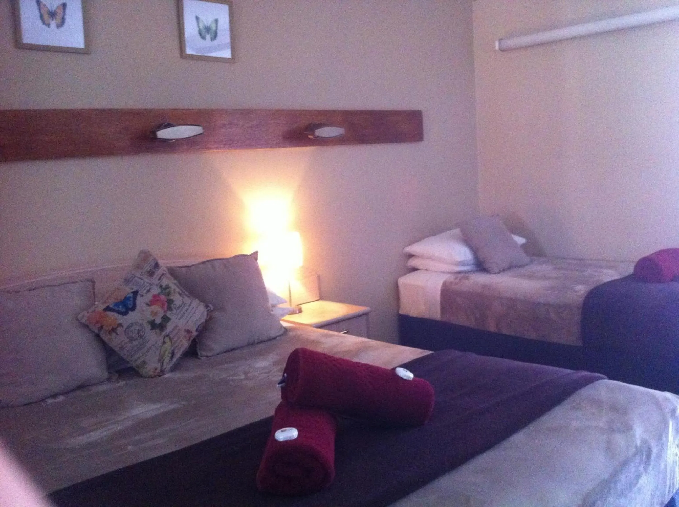 Photo of the whole room, Bed in Elsinor Motor Lodge