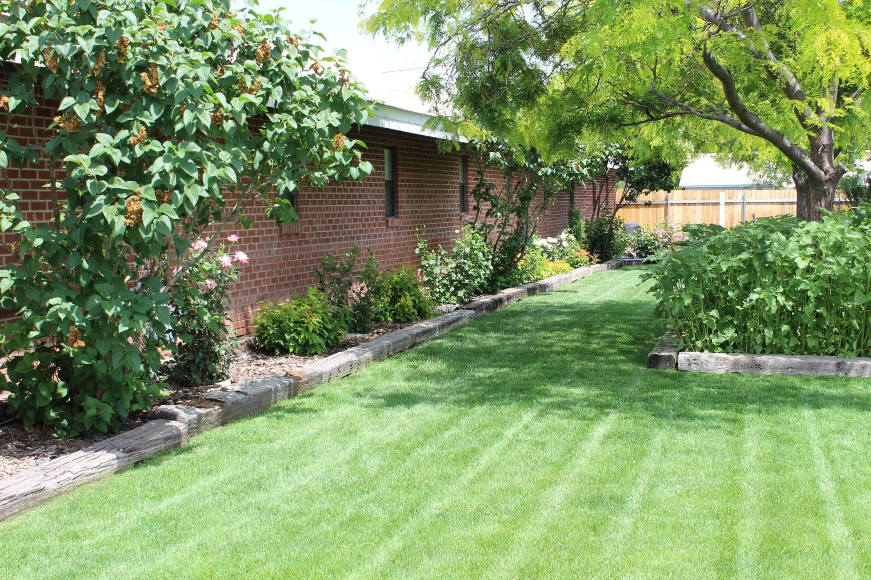 Area and facilities in Ontario Inn