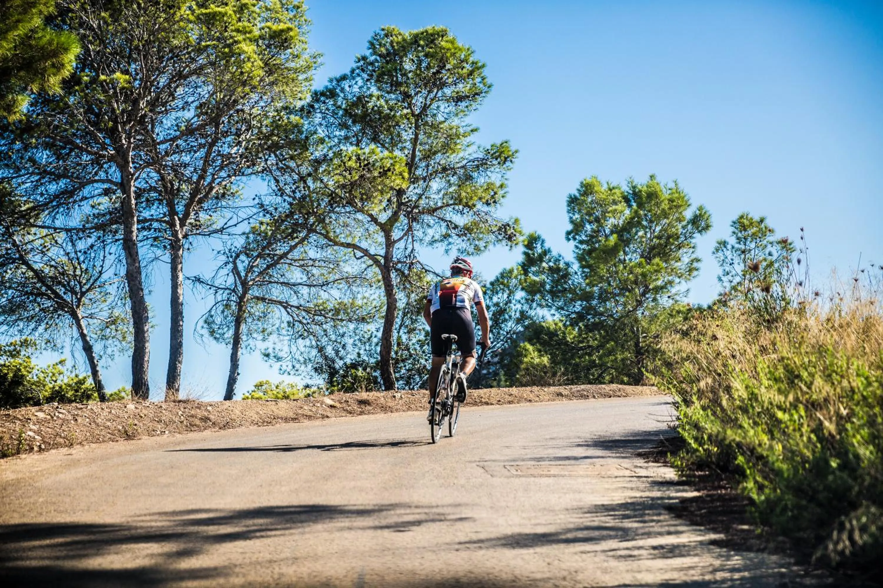 Activities in Hotel La Pergola Mallorca