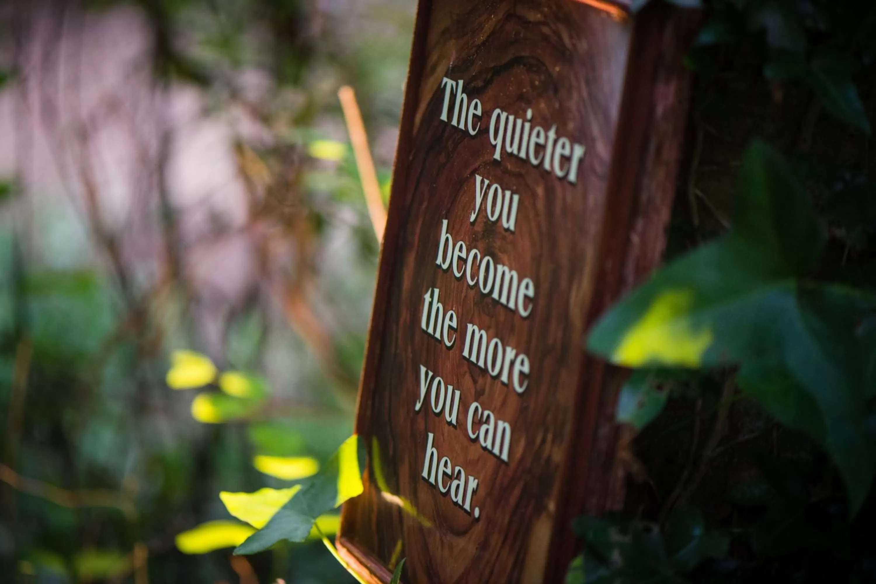 Property Logo/Sign in Ballinwillin House