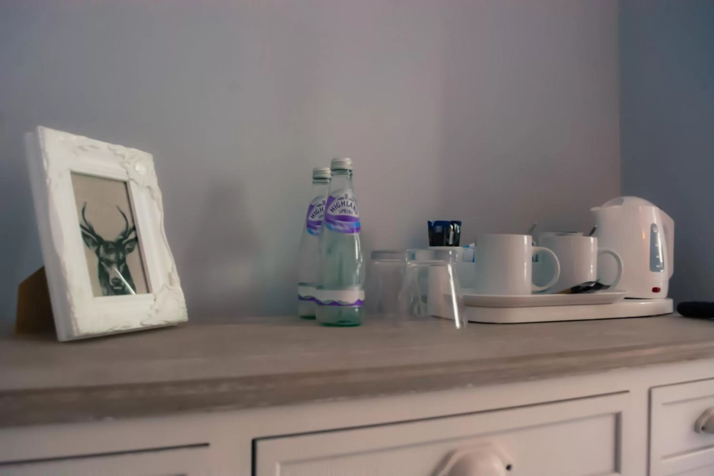 Coffee/Tea Facilities in The Old Down Inn