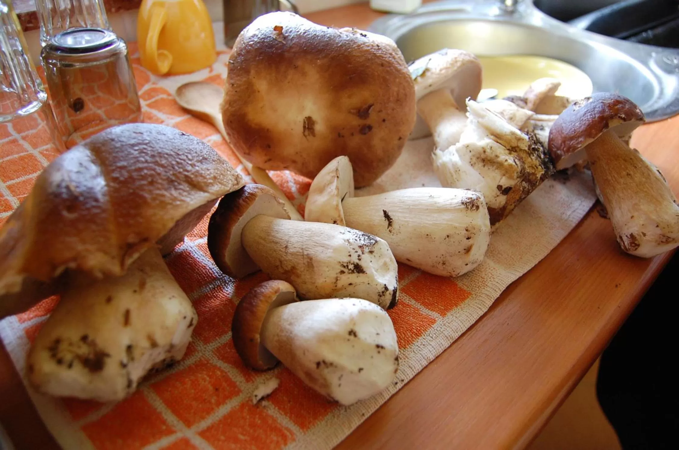 Hiking in Przystanek Czapla