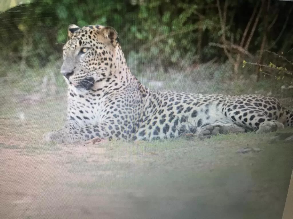 Jayasinghe Holiday Resort