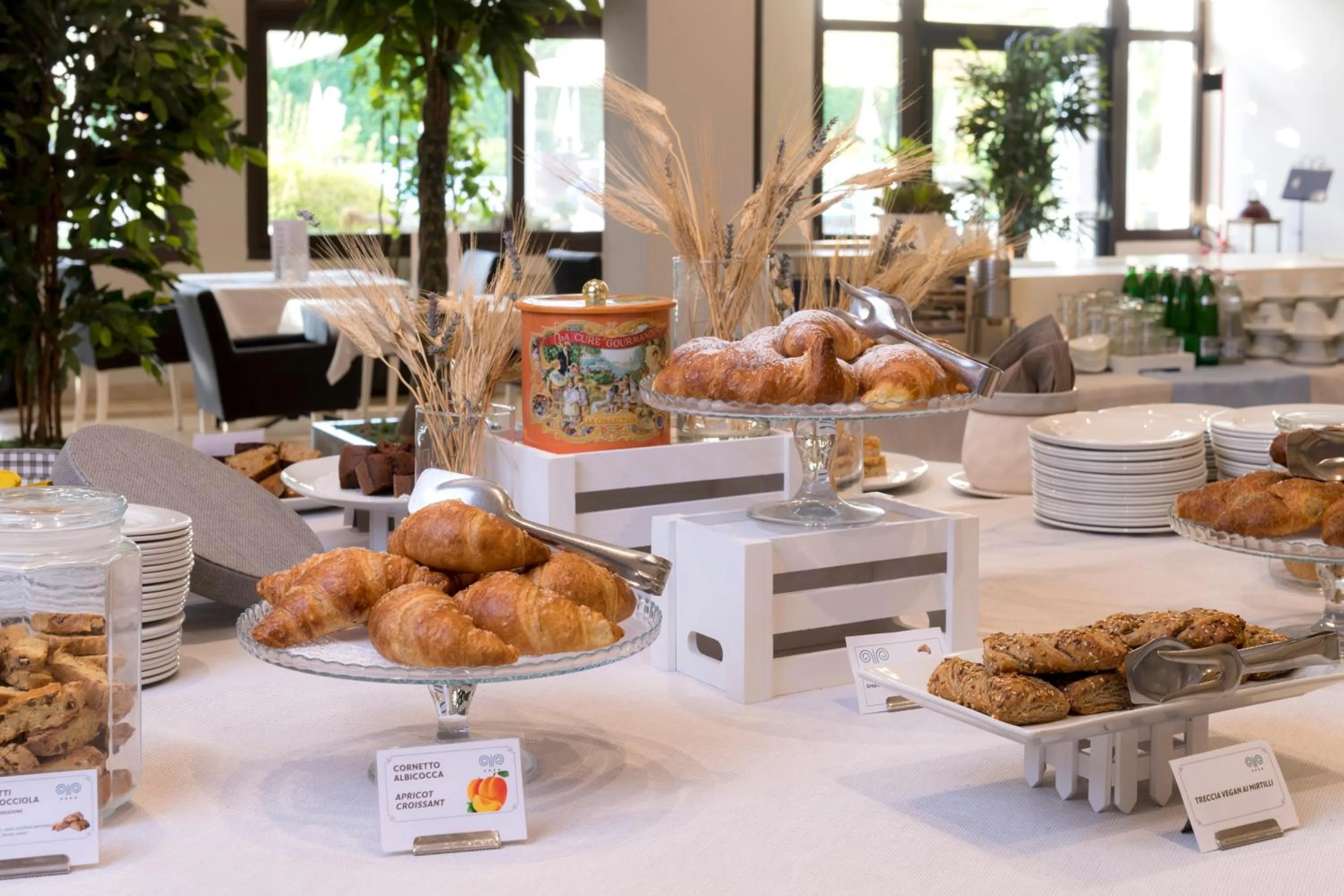 Breakfast in Hotel Salus Terme - Adults Only