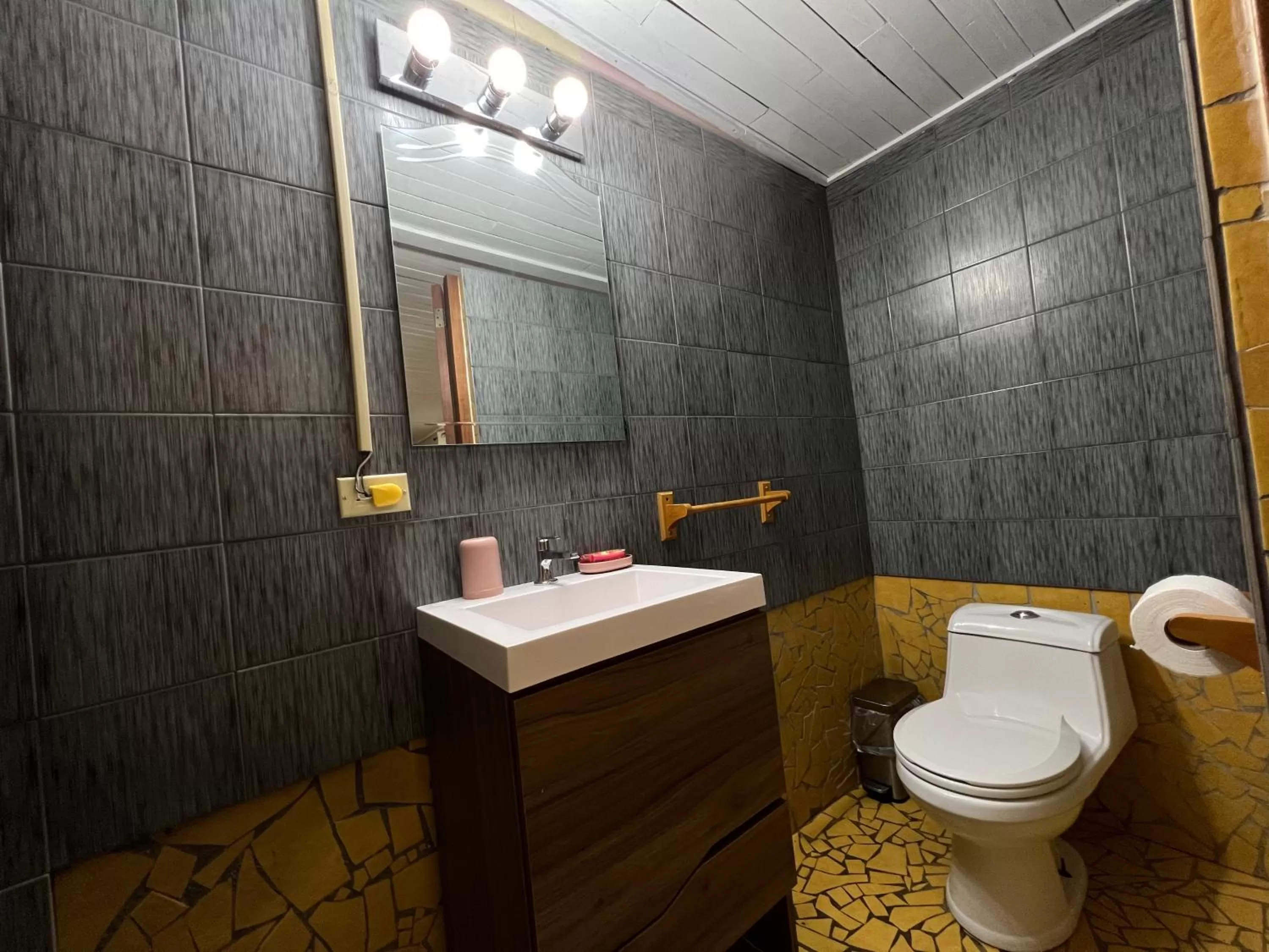 Bathroom in Monkey Lodge Panama