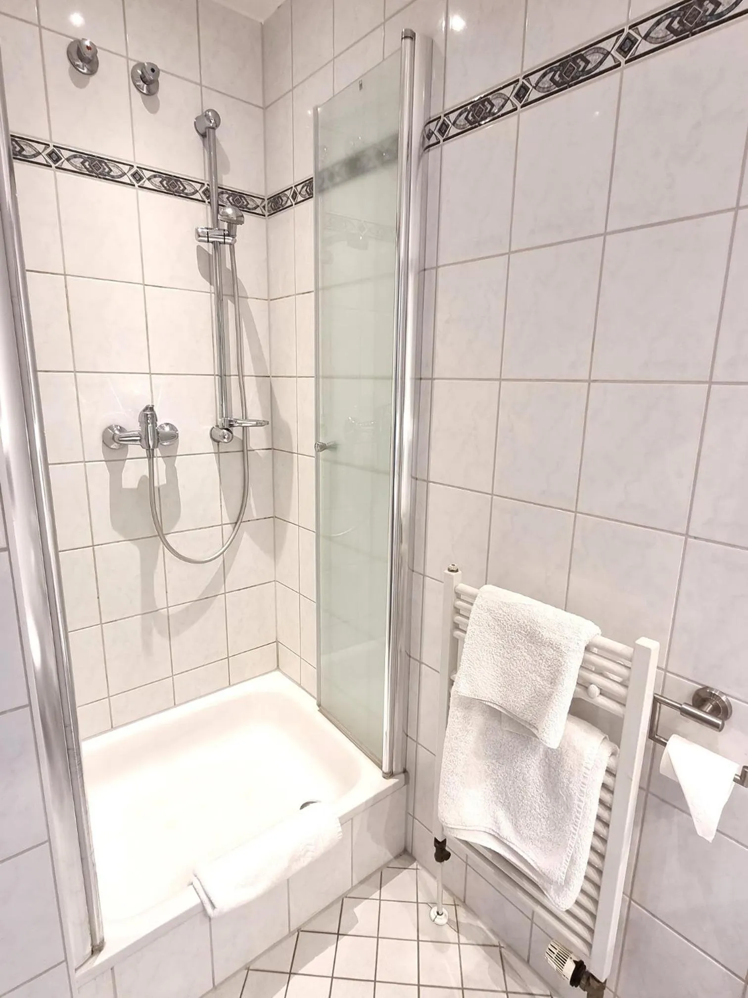 Shower in Adler Hotel Frankfurt