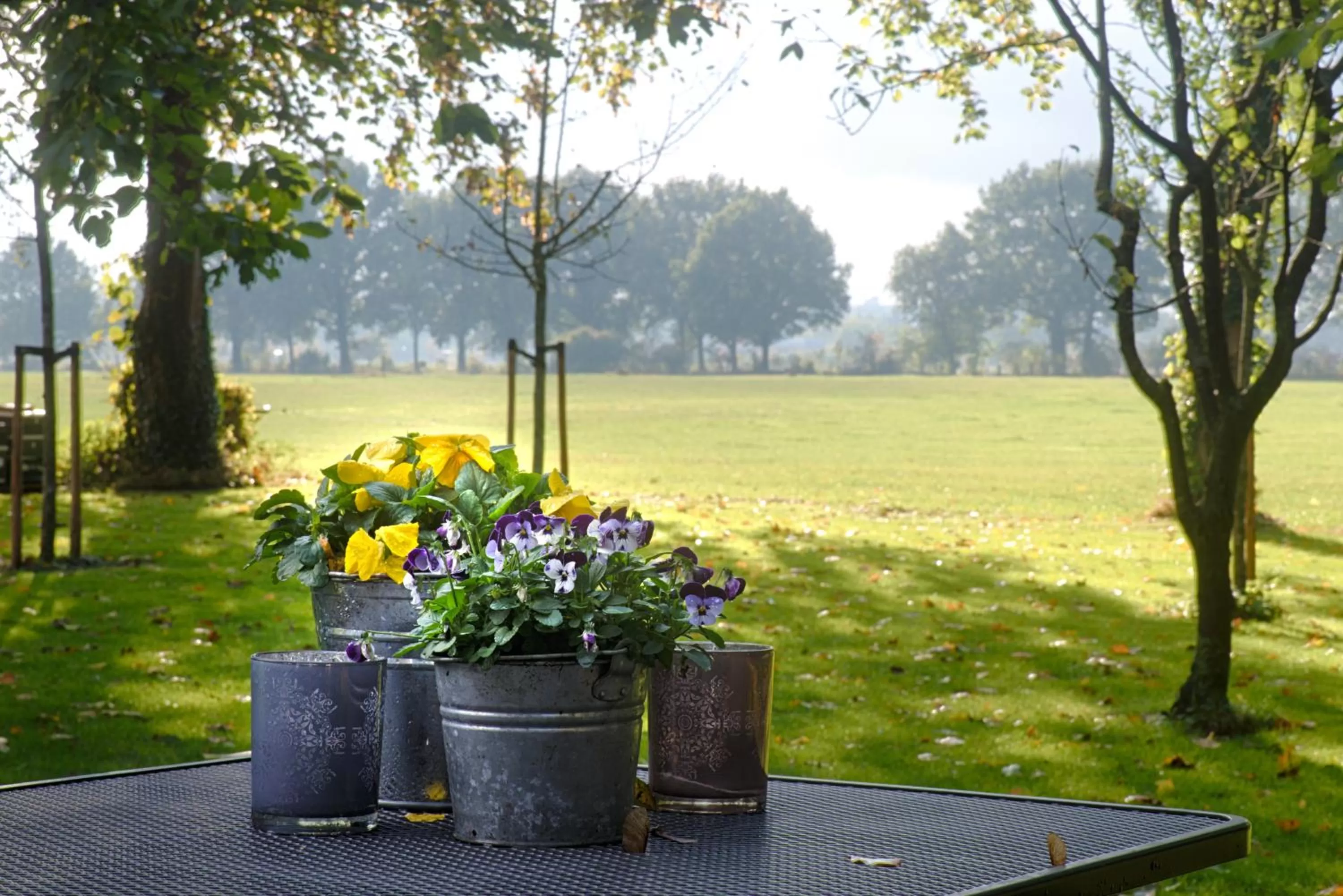 Day in Op de Kuyerlatten