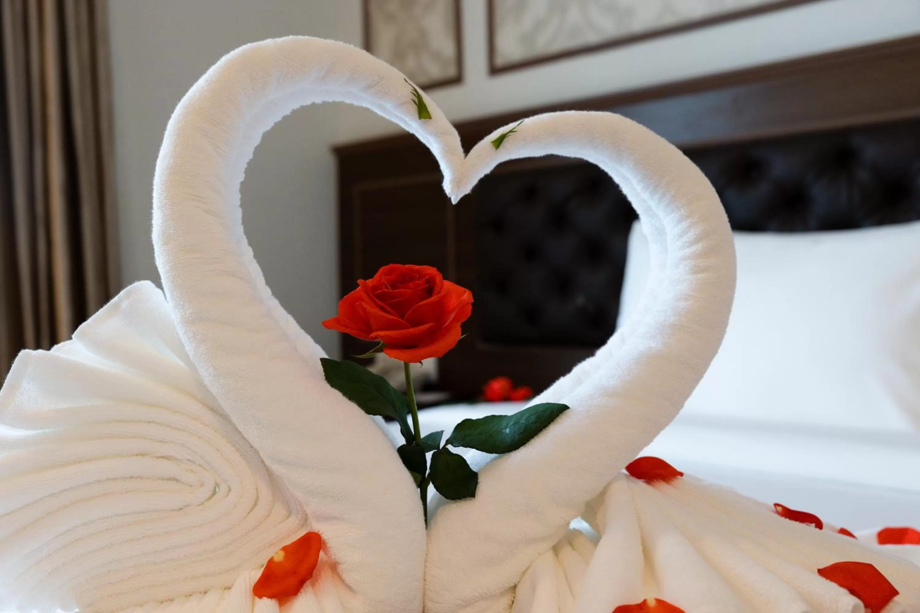 Activities, Bed in Imperial Nha Trang