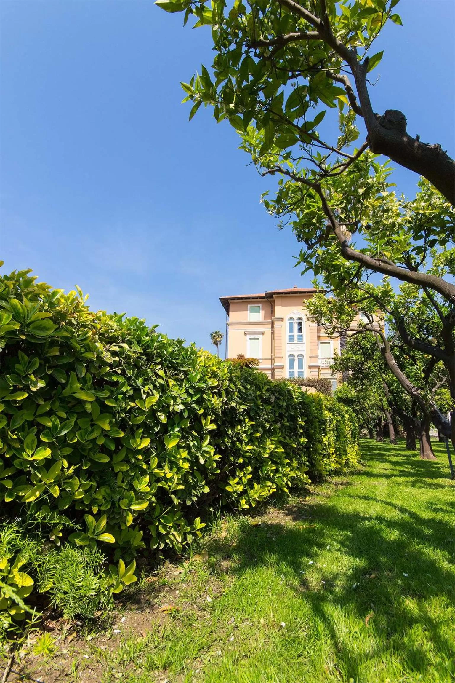 Natural landscape in Hotel Villa San Giuseppe