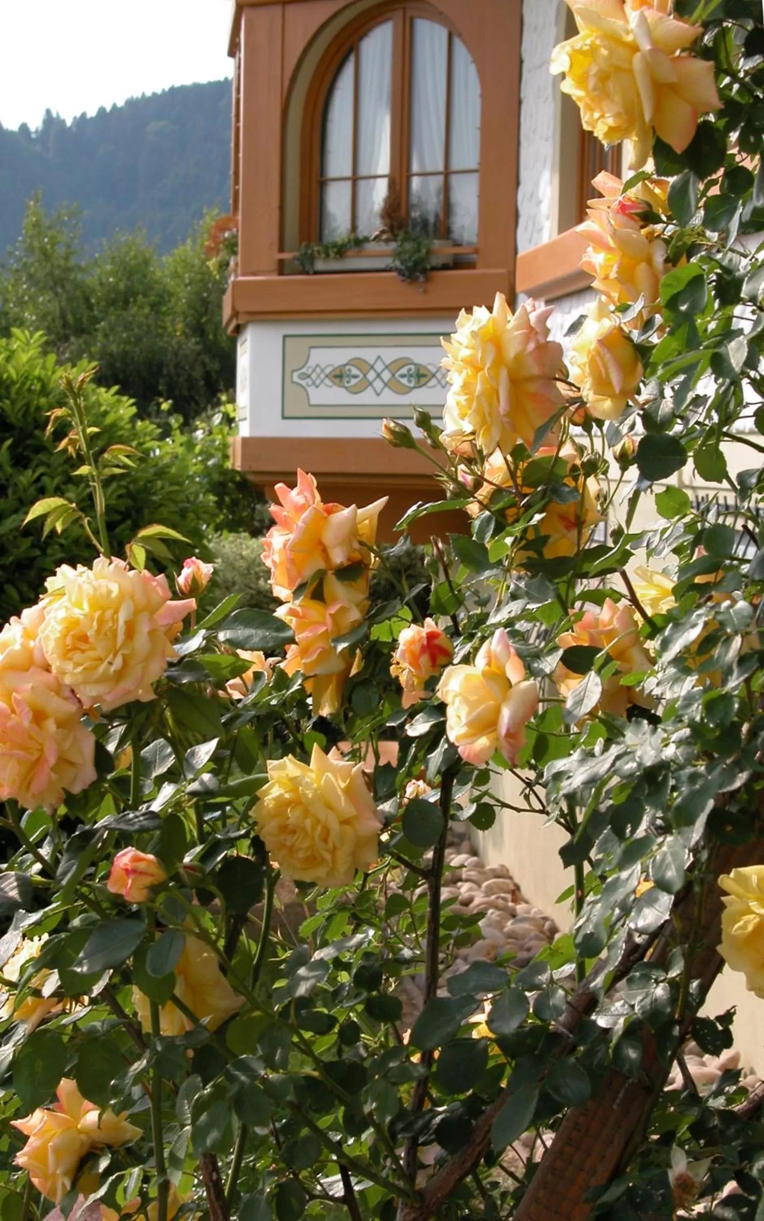 Facade/entrance in Silberkönig Schwarzwald Hotel & Restaurant Ringhotel