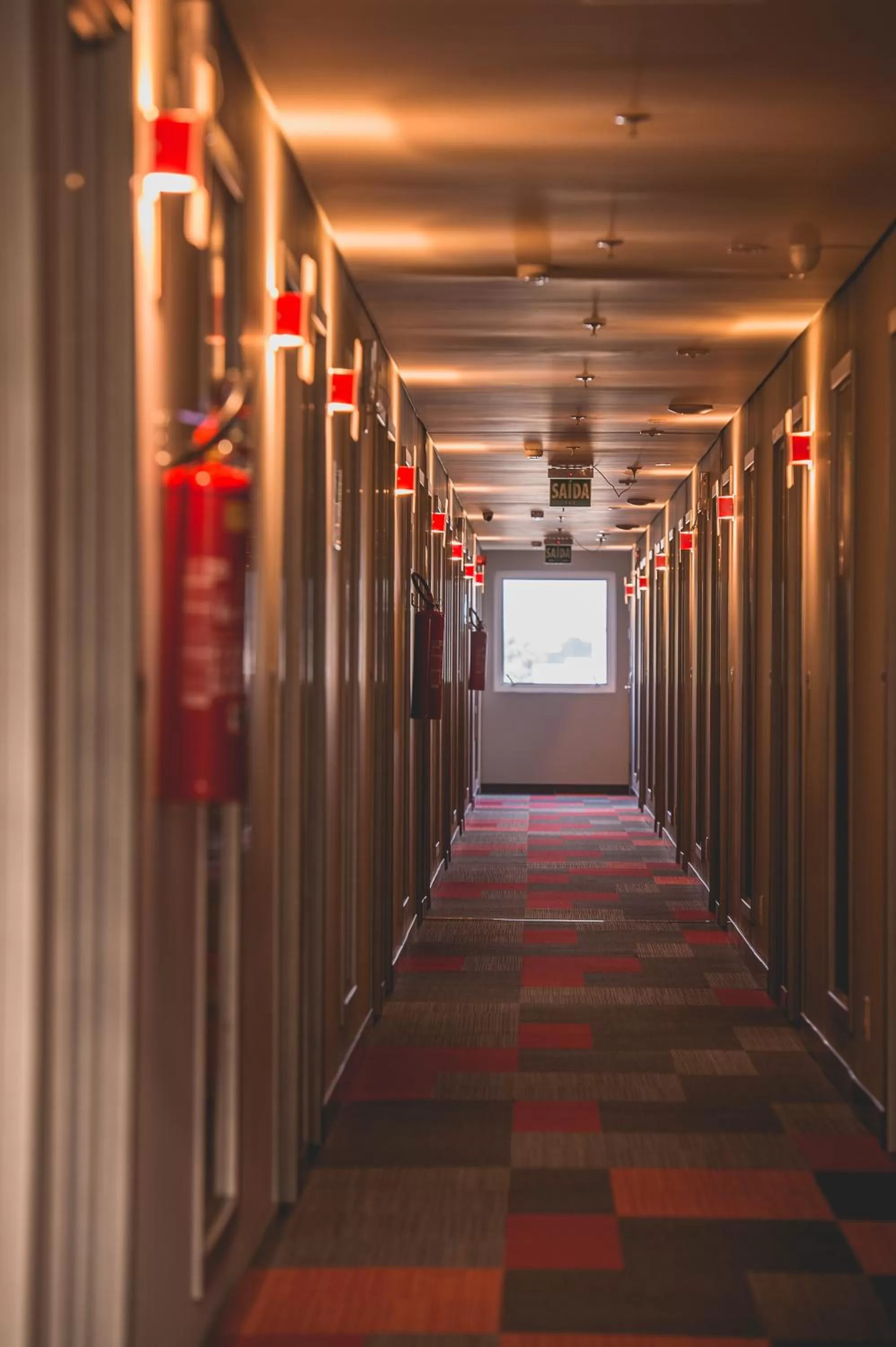 Decorative detail in ibis Carlos Barbosa