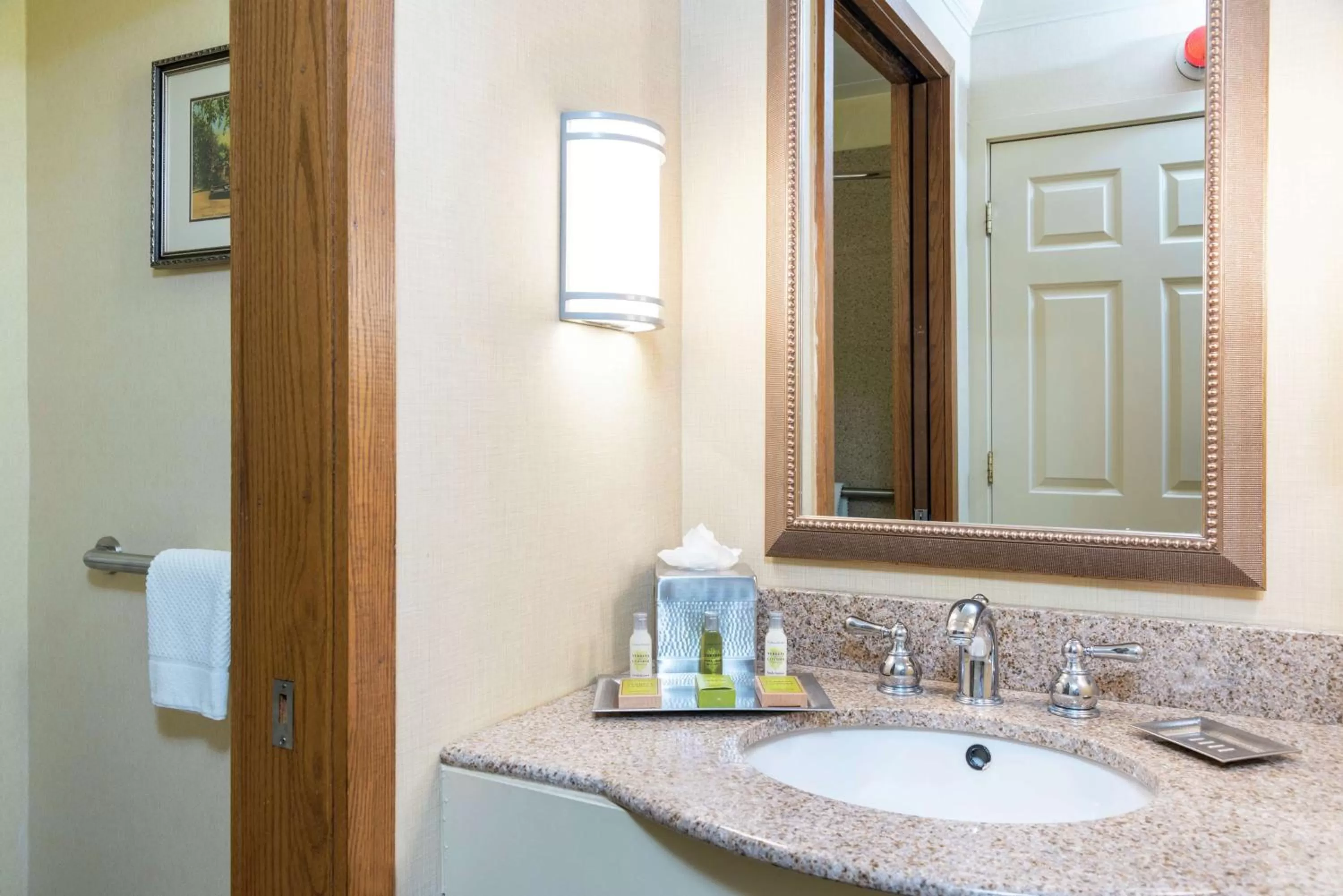 Bathroom in DoubleTree by Hilton Hotel Grand Rapids Airport