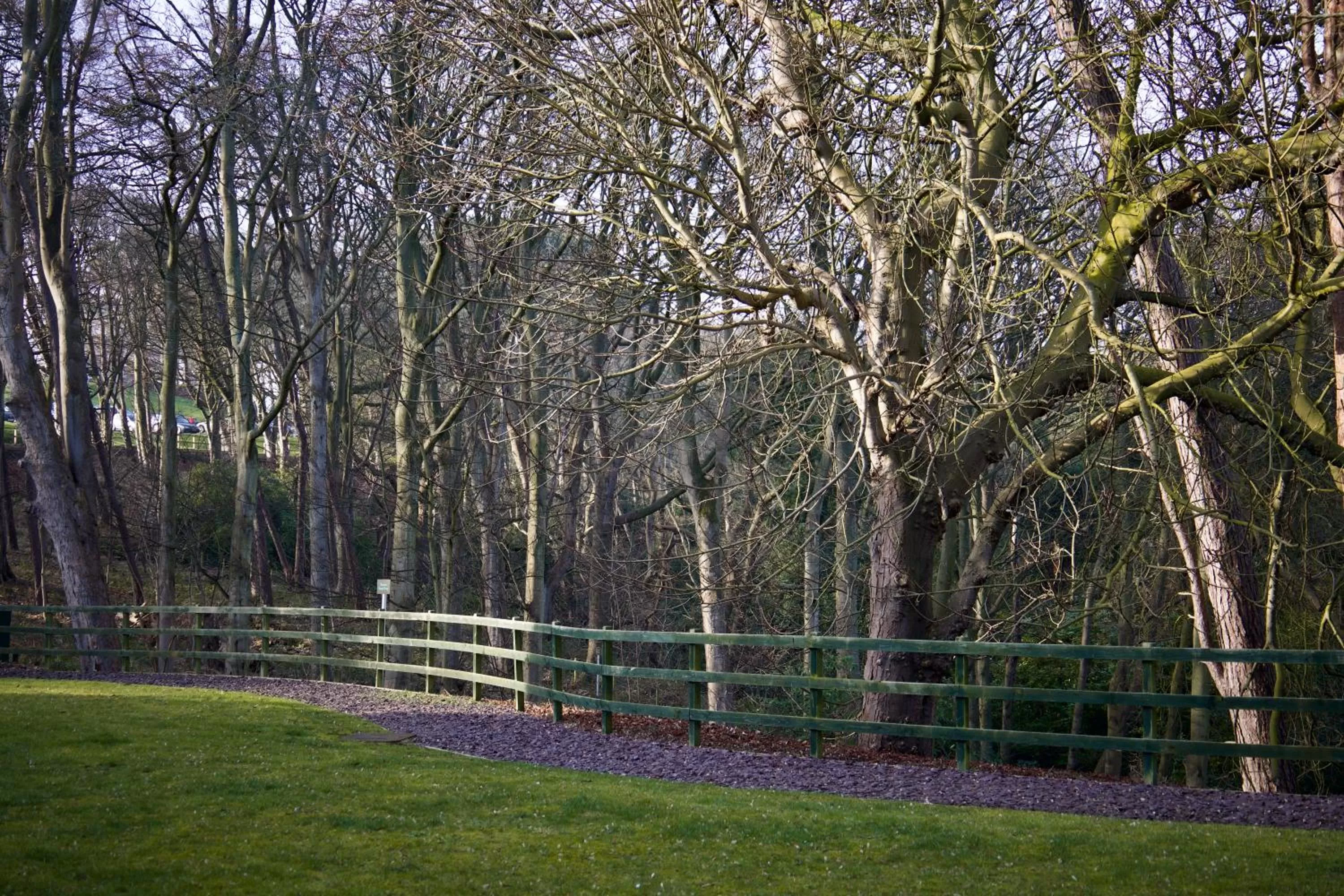 Natural landscape in Raithwaite Sandsend