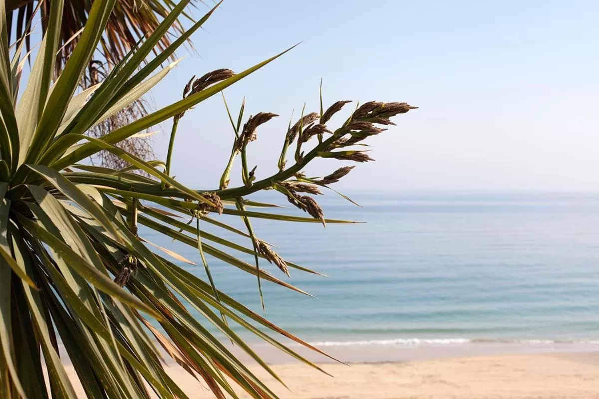 Day in Carbis Bay and Spa Hotel