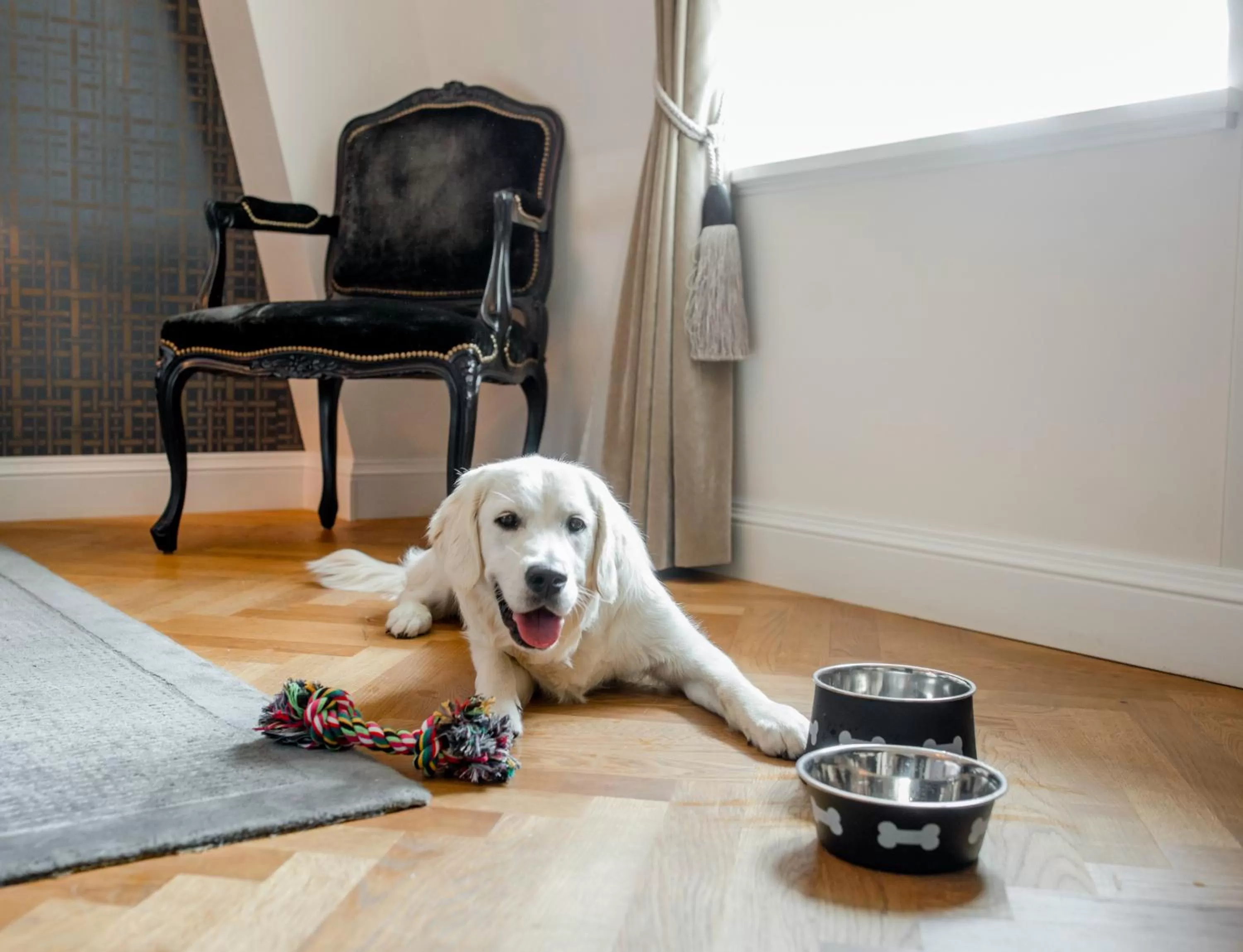 Other in Hotel Schweizerhof Bern & Spa