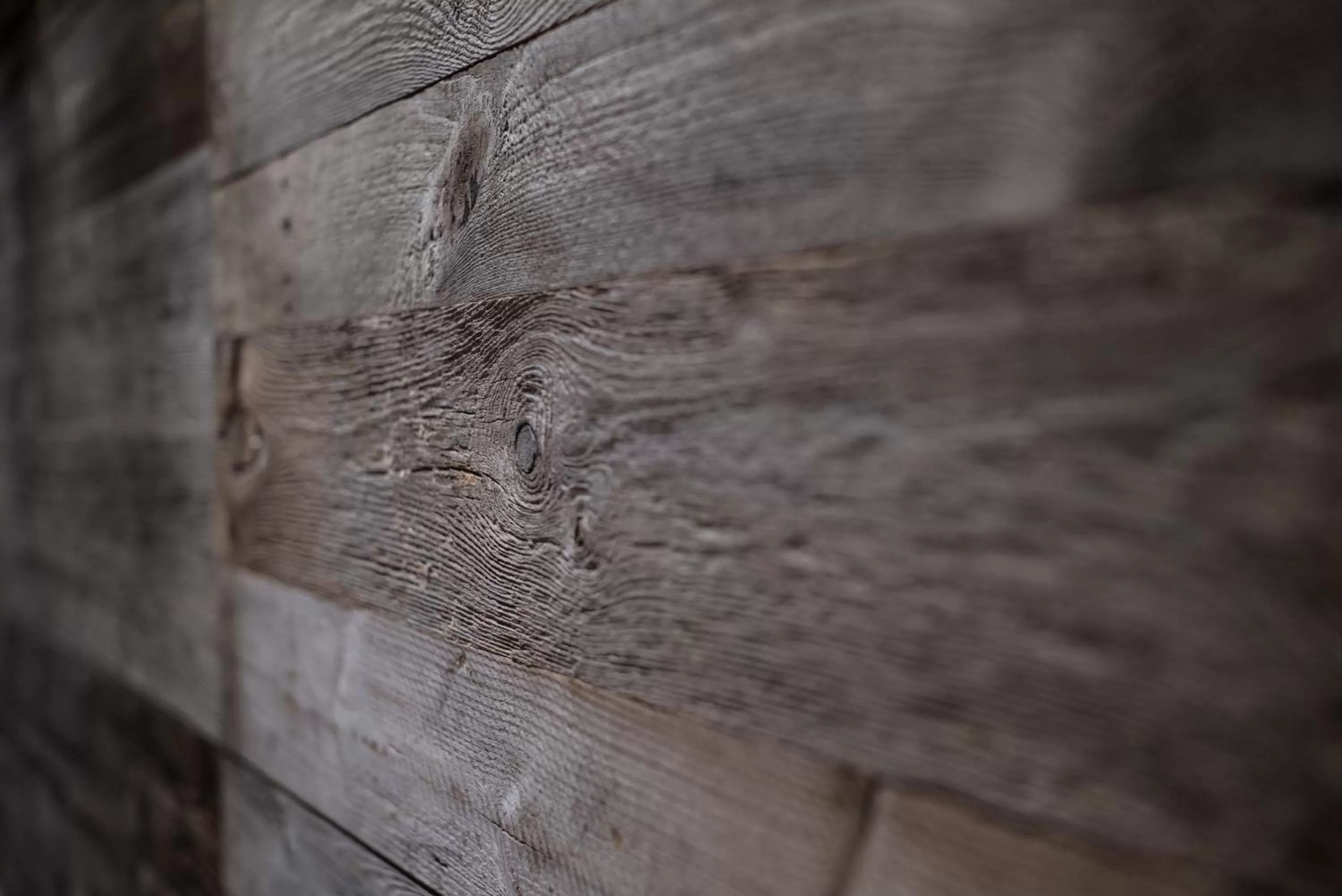 Decorative detail in ElisabethHotel Premium Private Retreat- Adults only