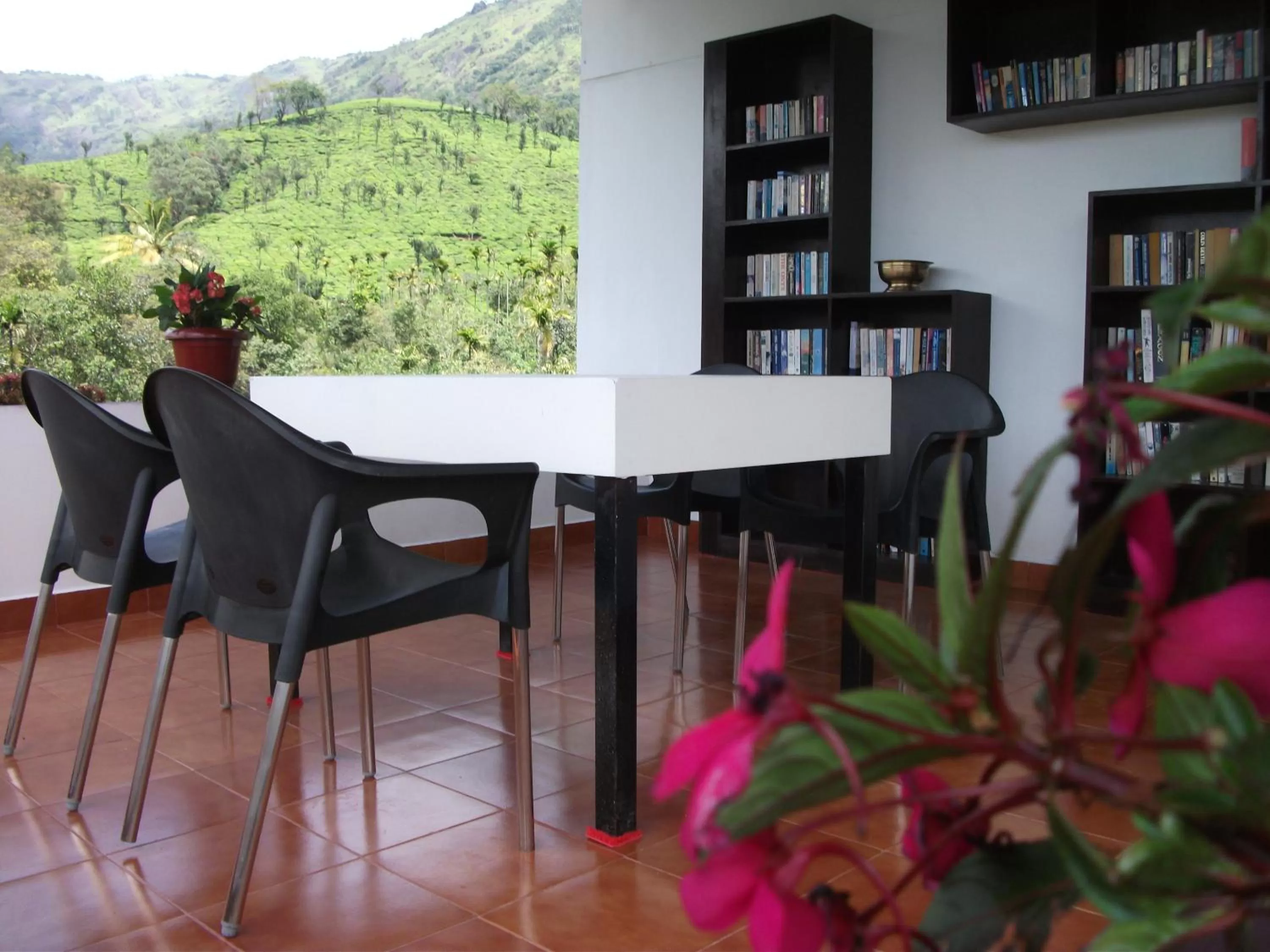 Library in Gruenberg Tea Plantation Haus