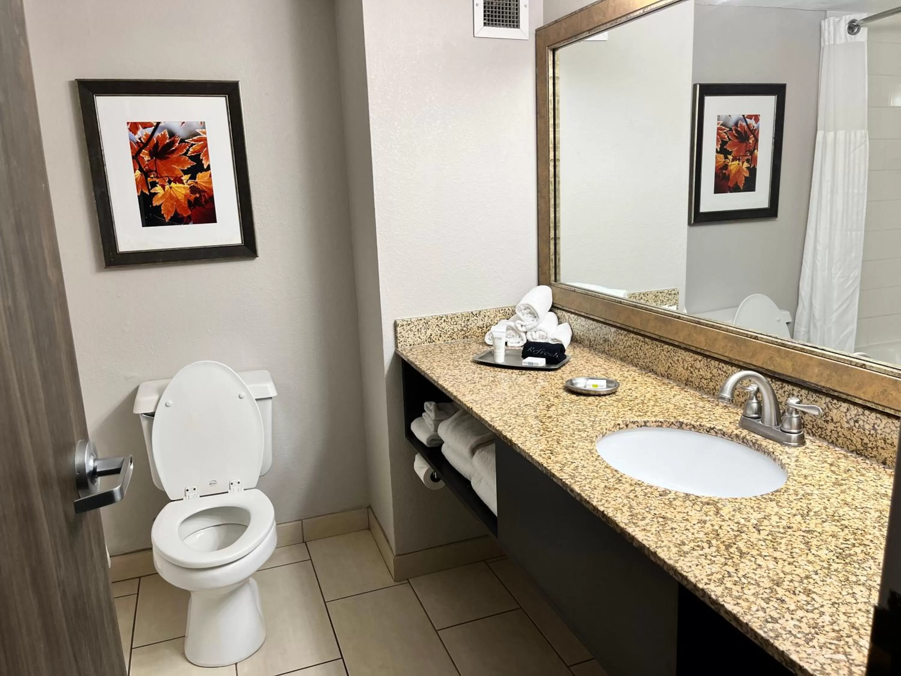 Toilet in Branson Hillside Hotel