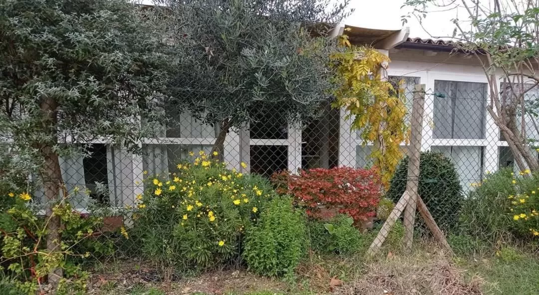 Property Building in La Casa di Tara B&B Armonia e Natura