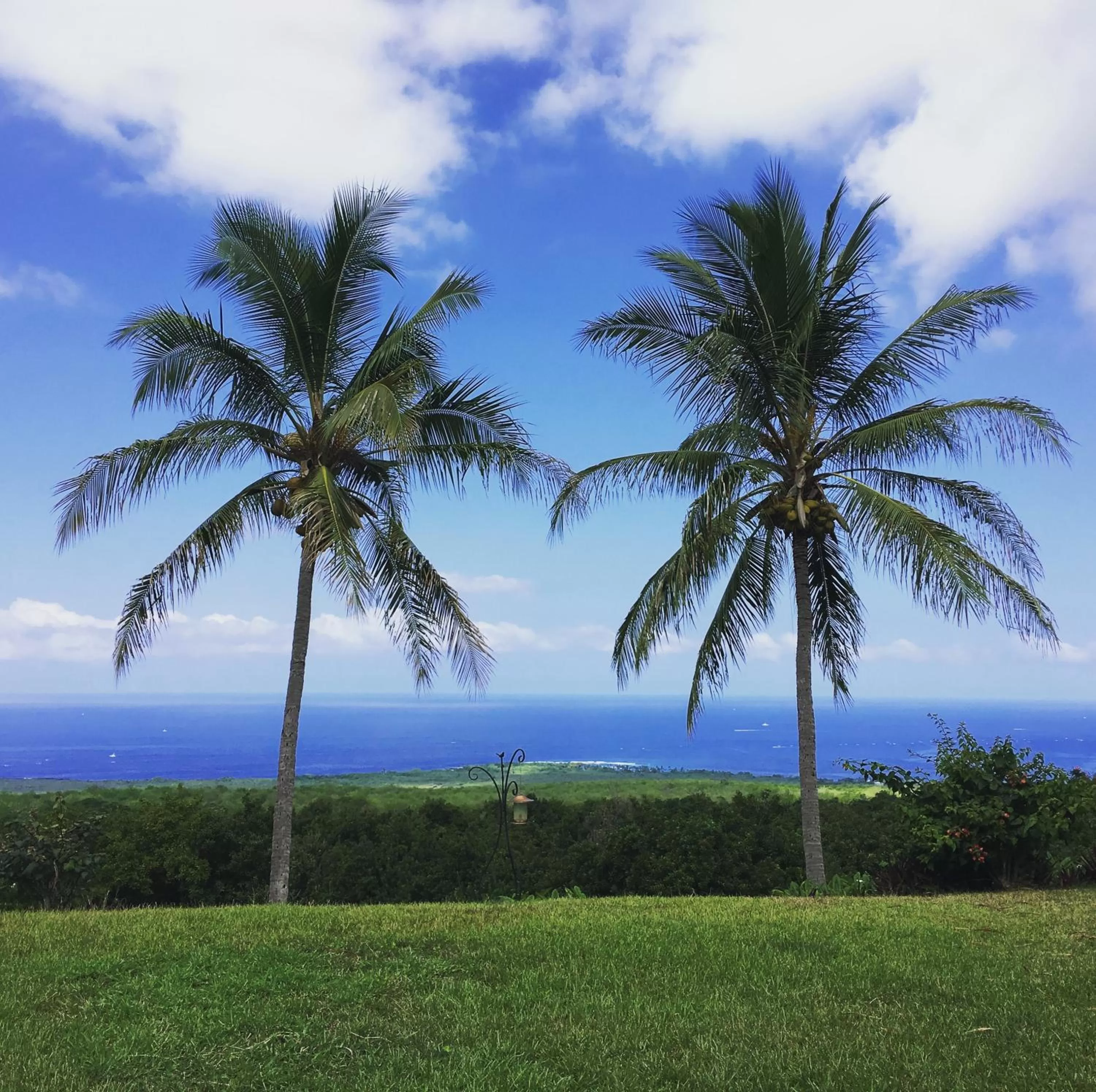 Area and facilities in Kona Bayview Inn