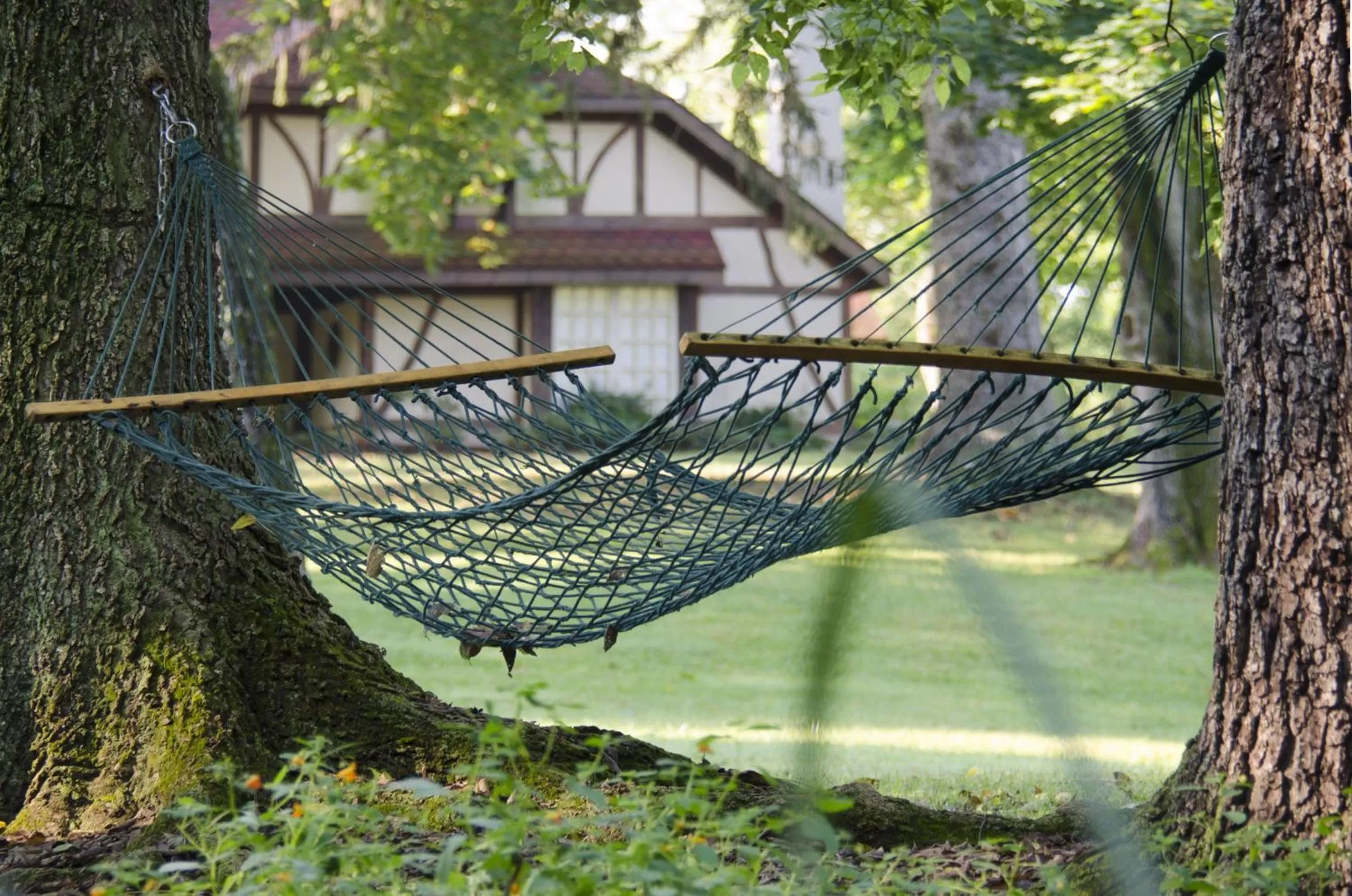 Area and facilities in Hillbrook Inn & Spa