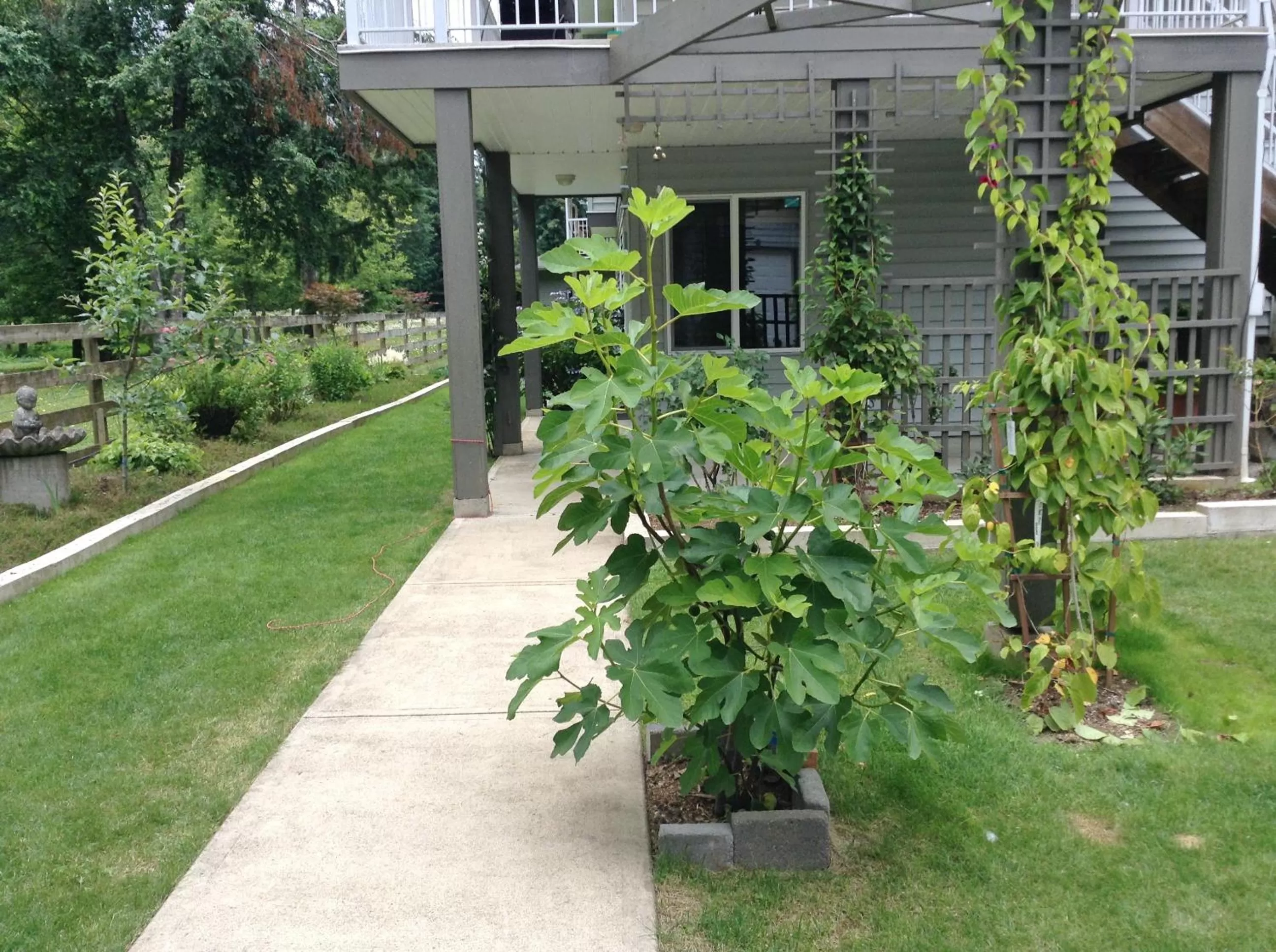 Garden in Hope Springs Eternal Bed and Breakfast