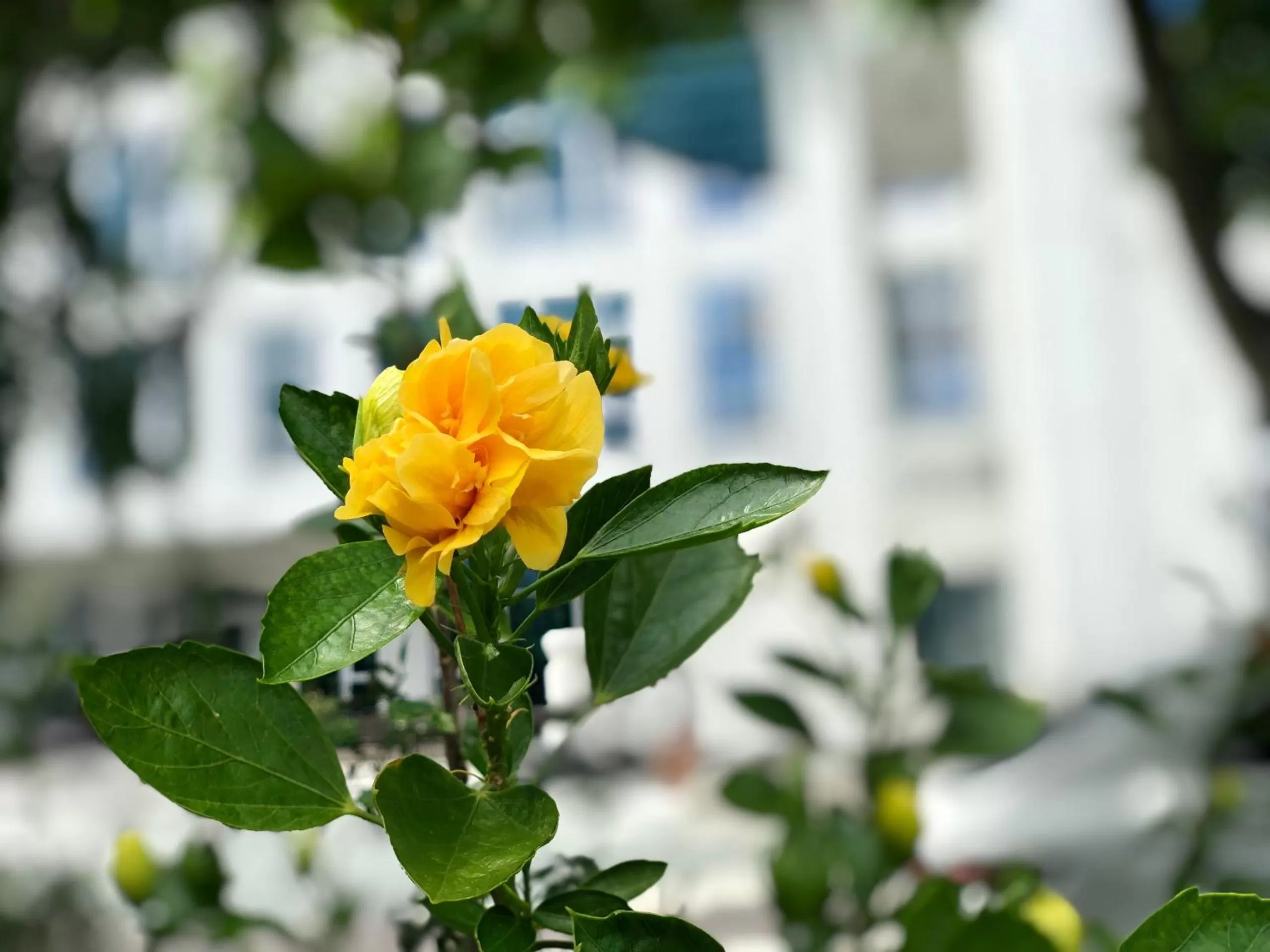 Garden in Ninh Binh Legend Hotel