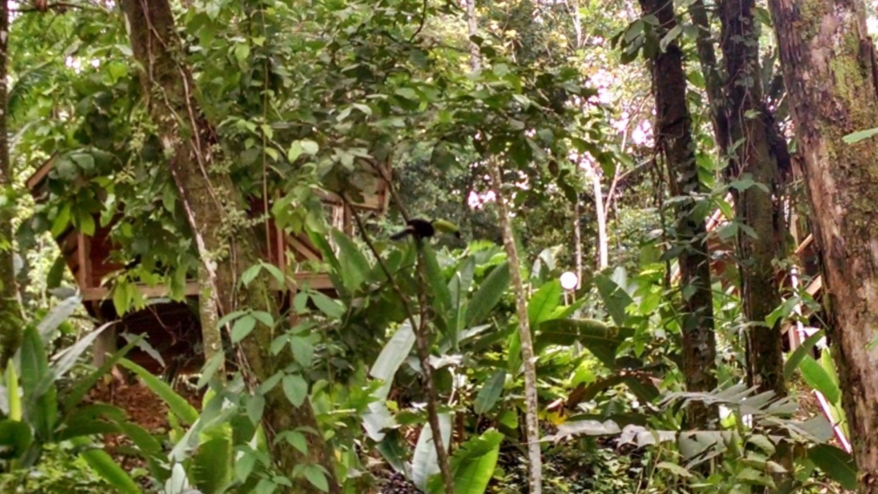 Day in Surf Break at Paunch